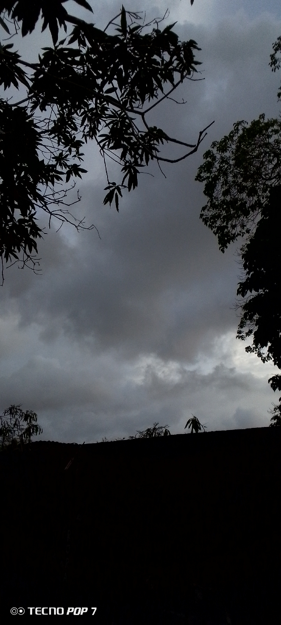 The image depicts a dark, cloudy sky as seen from a low-angle perspective, likely from the ground level in the city of Altagracia, Venezuela. Silhouetted against the moody sky are the branches and leaves of trees framing the upper portion of the image, with the dense foliage creating a stark contrast. In the lower section, the dark silhouette of what appears to be a rooftop or elevated structure runs horizontally across the frame. A few small, sparse trees or bushes are visible on top of this structure, also silhouetted. The overall atmosphere is somber and overcast, suggesting a possibly stormy or twilight condition. The bottom left corner of the image contains a watermark that reads "TECNO POP 7". No people or discernible activities are present in the scene.