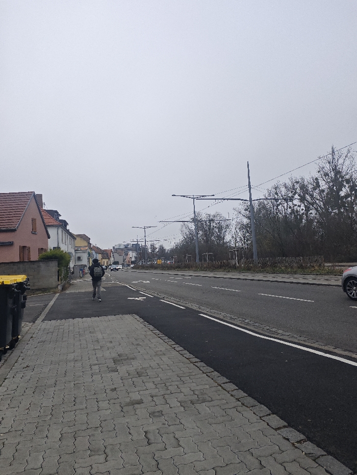 This image depicts a street scene in Bischheim, France, under an overcast sky. In the immediate foreground on the left, two dark grey waste bins with yellow lids are positioned on a grey interlocking paver sidewalk. A single individual, viewed from behind, is walking away from the viewer on this sidewalk, wearing dark clothing and a light-colored backpack.
Adjacent to the sidewalk on its right is a dark asphalt bicycle path, marked by a continuous white line on its right edge and a white bicycle symbol painted on its surface. To the right of the bicycle path lies a multi-lane asphalt road, featuring white dashed and continuous lines separating traffic lanes. A light-colored car is partially visible on the far right edge of the frame, in the rightmost lane of the road, with its rear section and wheel visible, moving away from the viewer.
On the far left, bordering the sidewalk, are residential buildings. The closest structure has a reddish-brown tiled roof, a light pink facade, and dark window shutters. Additional buildings are visible further down the street. Multiple grey street light poles with horizontal arms and overhead wires extend across and above the road, suggesting infrastructure for public transport. On the right side of the road, a dense strip of trees and bushes, many appearing deciduous and sparsely foliated, with visible mistletoe clumps, runs parallel to the road. This vegetation is bordered by a low wooden fence. The sky is uniformly grey.