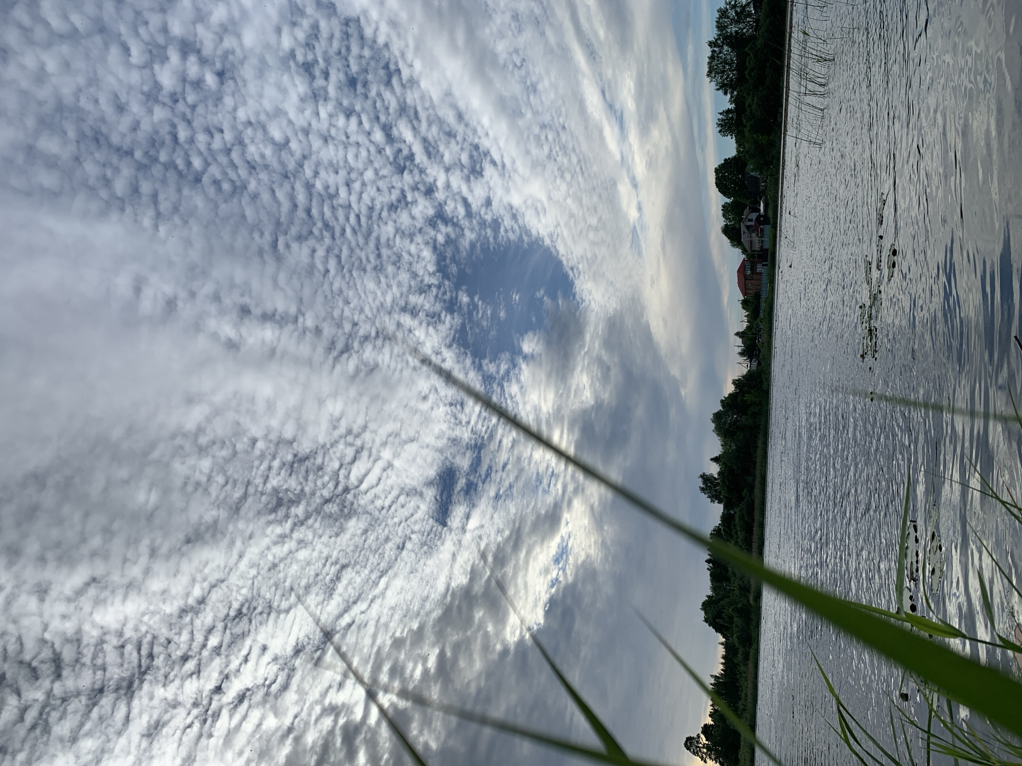 This media file depicts a serene waterscape with a dramatic sky. The scene is a natural outdoor setting, likely a lake or riverbank, in Chernovo, Russia. The time of day appears to be late afternoon or early evening, with the sun low in the sky, casting soft light and long shadows. The weather is cloudy, but with breaks in the clouds revealing patches of blue sky. The clouds themselves are a prominent feature, with a textured, rippled pattern creating visual interest against the expanse of the sky.
The foreground is partially obscured by blades of grass, suggesting the viewpoint is from the edge of the water, close to the vegetation. The water itself is calm, reflecting the sky and surrounding trees with a shimmering quality. Along the distant shoreline, a line of dense green trees forms a natural backdrop, broken by a few houses with red roofs, hinting at a nearby settlement or village. The overall mood is peaceful and tranquil, evoking a sense of natural beauty and quietude. There is no visible text in the image.