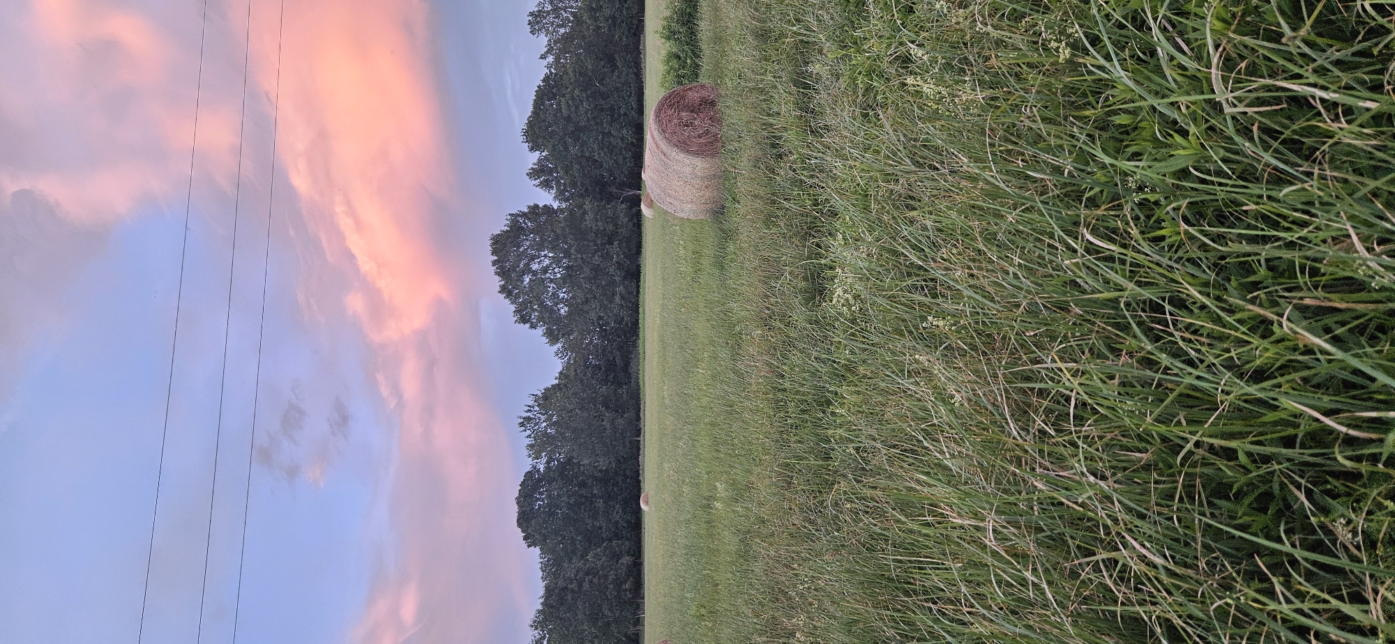 The image depicts a rural landscape at dusk, with a field of tall grass in the foreground. In the middle ground, a large, round bale of hay sits prominently on the right side of the frame, with a smaller bale visible in the distance on the left. A line of dense trees forms the horizon, silhouetted against a sky illuminated by soft pink and blue hues of a sunset. Three parallel power lines stretch across the upper portion of the image, connecting to poles that are out of frame. There are no people or animals visible. The overall impression is one of tranquility and a peaceful rural setting. This scene is likely located in the vicinity of Hévíz, Hungary, known for its agricultural land and natural beauty.