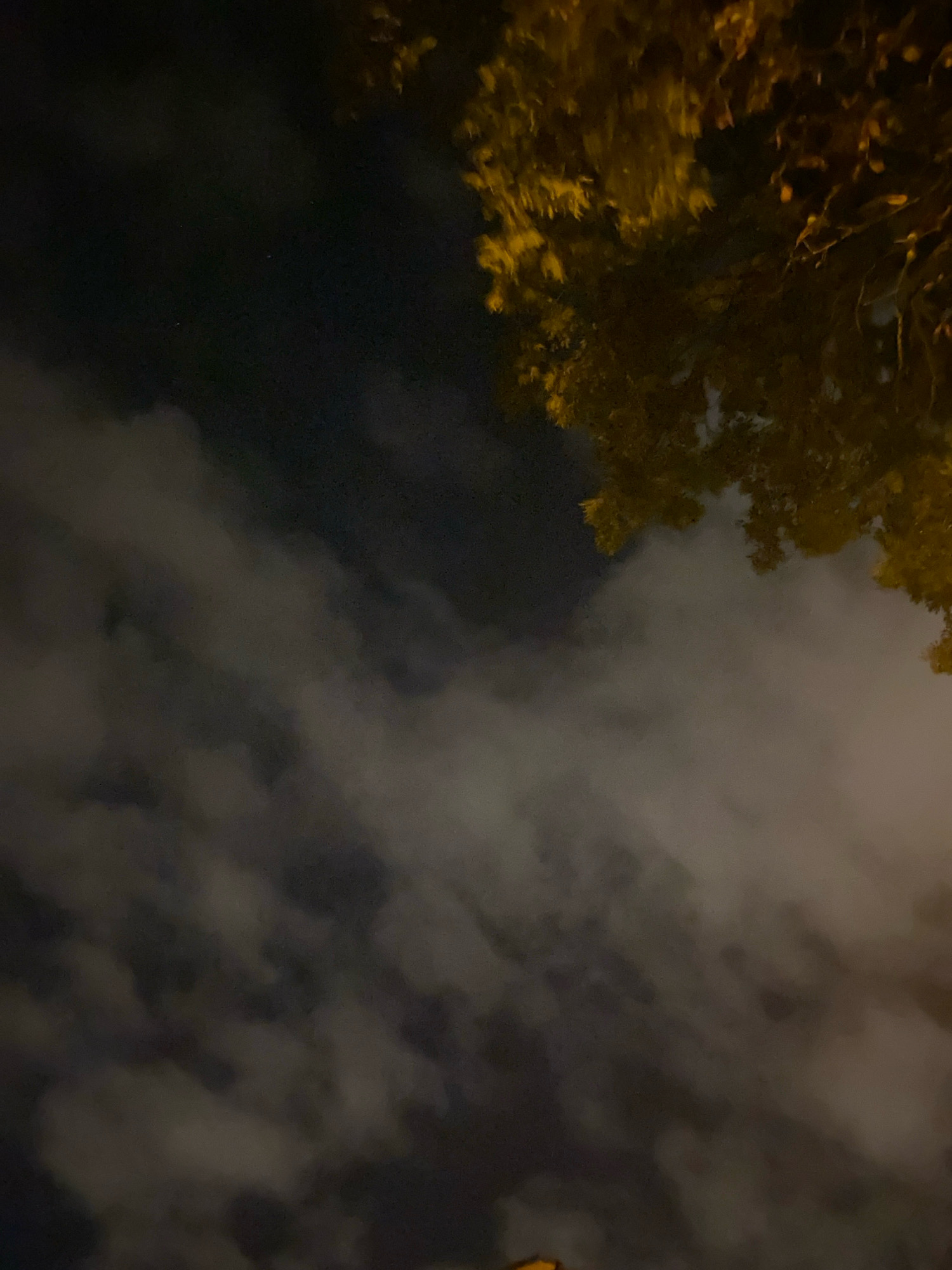 The image is an outdoor shot taken at night in Katowice, Poland. The scene is dominated by a dark sky with scattered, illuminated clouds. In the upper right quadrant, there are branches of a tree with yellowing leaves, suggesting it is autumn. The lighting indicates artificial sources, likely streetlights, illuminating the clouds from below and casting a warm glow on the foliage. The perspective is looking upwards, capturing the interplay of light and shadow in the night sky. No people or specific landmarks of Katowice are visible.