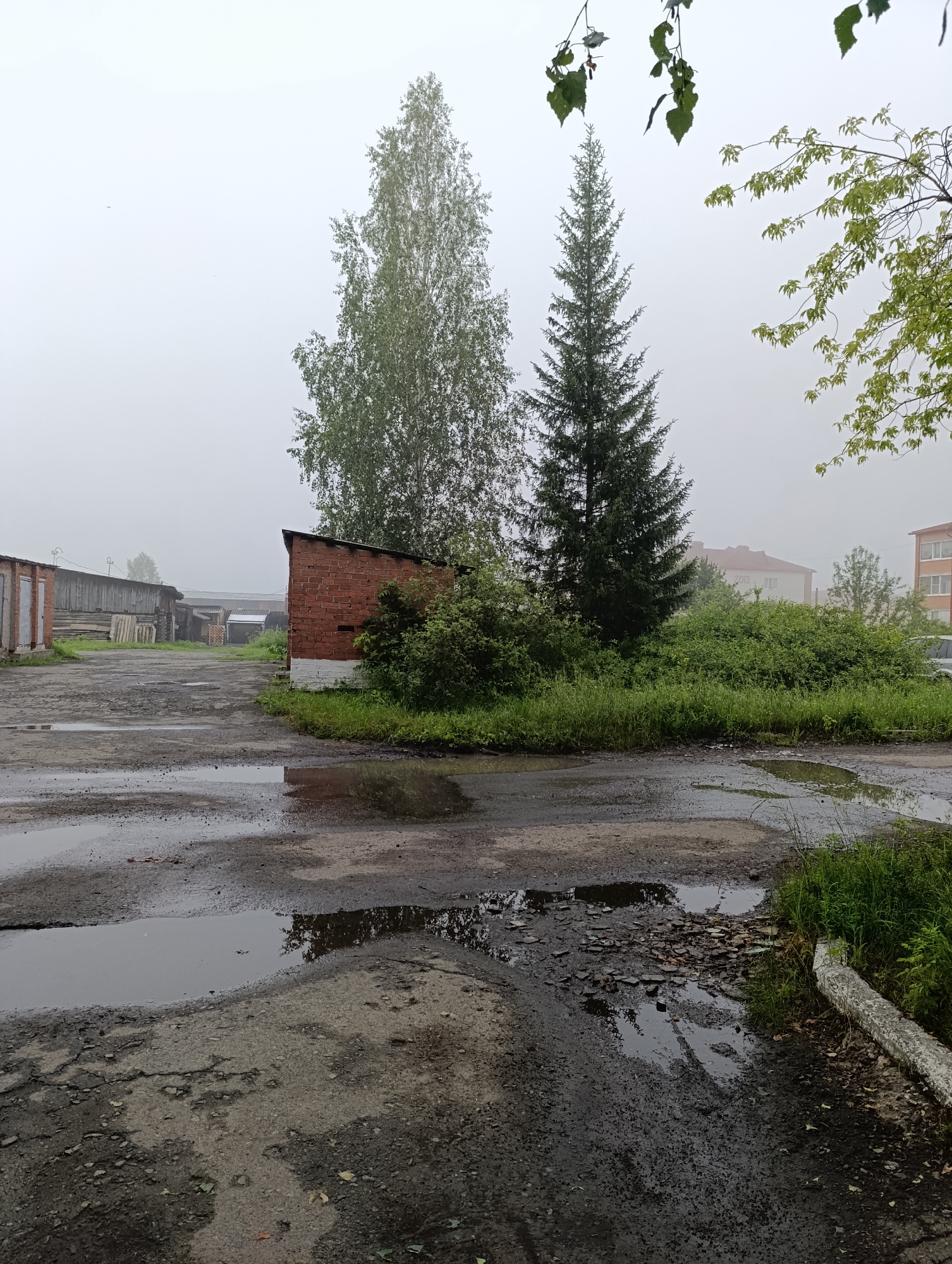 The image depicts an overcast day in what appears to be an industrial or service area in Tugulym, Russia. In the foreground, a muddy and waterlogged asphalt surface with several puddles indicates recent rain or damp conditions. To the right, a concrete curb borders a patch of tall, green grass and dense foliage.
Dominating the mid-ground is a small, weathered brick building with a white-painted lower section, adjacent to a thick cluster of overgrown green bushes and trees. Behind this, a tall, dark green spruce tree stands prominently, with a lighter, leafy birch tree to its left. Further in the background, a row of utilitarian wooden sheds or garages stretches along the left side of the frame, some with visible doorways. Beyond these structures, a misty haze obscures the distance, softening the outlines of buildings and trees. The overall impression is one of a somewhat neglected, damp, and subdued urban fringe.