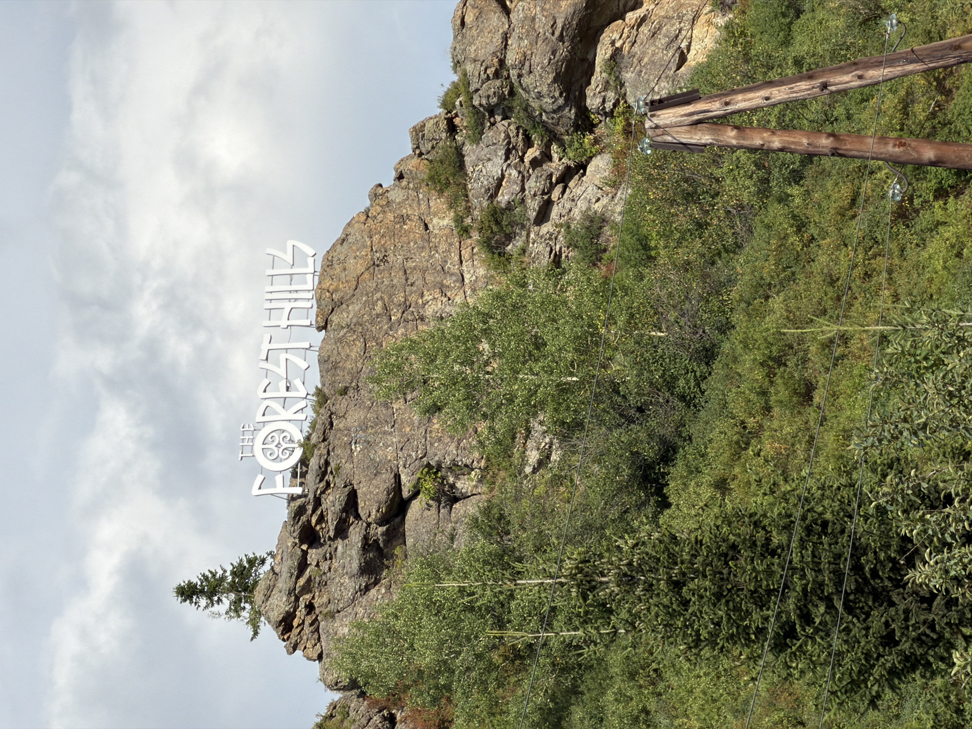 A wide shot captures a rocky mountainside with the large white letters spelling "THE FOREST HILLS" atop it. The sky is mostly overcast with white clouds. Below the rock formation, dense green foliage and trees cover the landscape, obscuring much of the lower mountain. In the foreground, to the right, a wooden utility pole with crossbars supports wires. To the left, several more wires stretch across the frame. The environment appears natural and wild, suggesting a location outside of dense urban development. The location is identified as Tarhanka rural district, Kazakhstan.