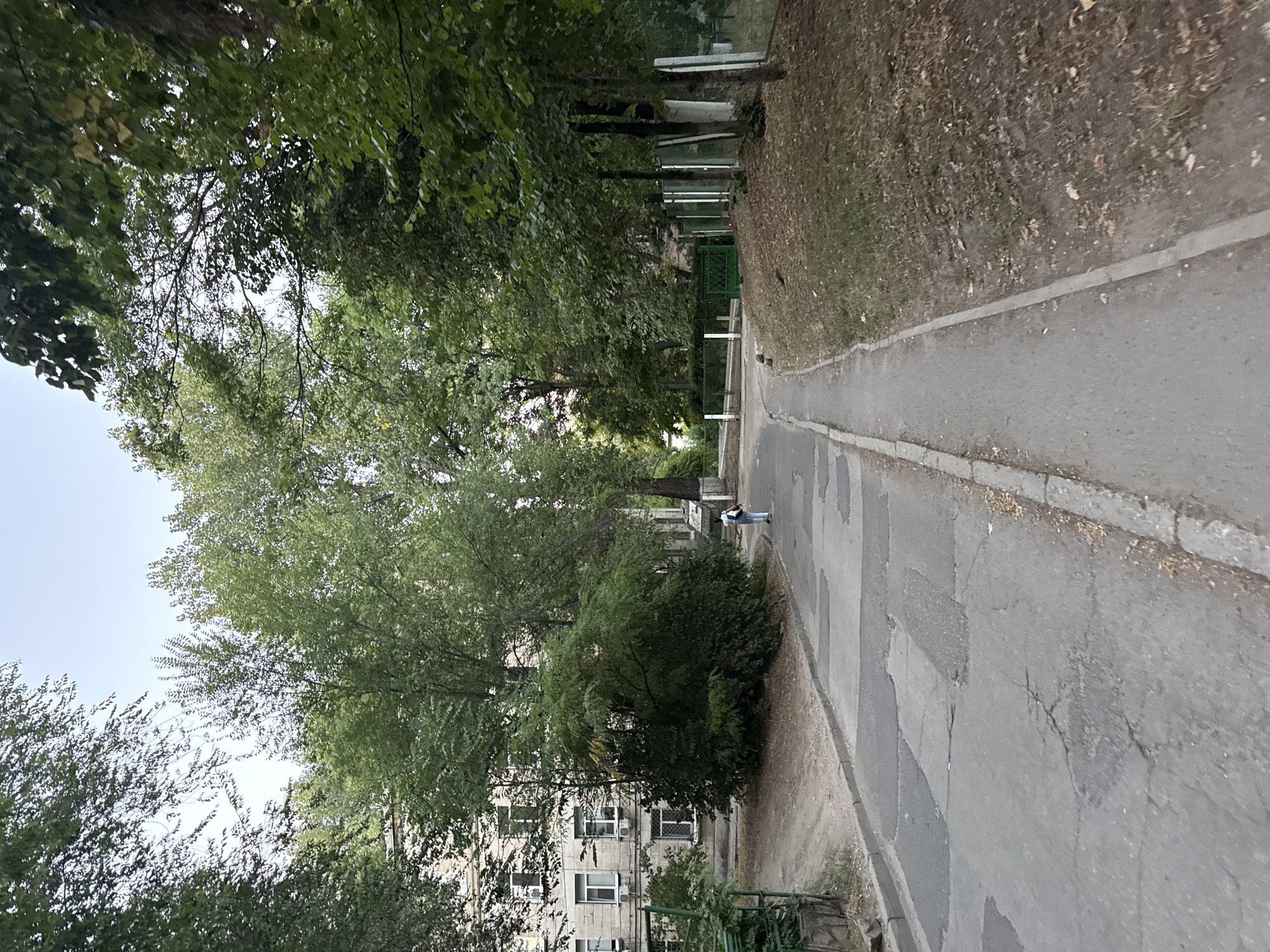 The image depicts a paved pathway in a residential area, likely a courtyard or sidewalk, in Chișinău, Moldova. A person, appearing to be a woman, walks away from the viewer on the pathway, carrying a light-colored bag. The pathway is bordered by a grassy area with scattered dry leaves on the right and a paved road with patches of asphalt repair on the left. Adjacent to the paved road is a building with a light-colored facade, several windows, and air conditioning units. Tall, leafy trees with dense green foliage are prominent throughout the scene, creating a natural, somewhat overgrown environment. In the background, a fence can be observed, with a green gate and white vertical posts. The sky is overcast, suggesting a cloudy day. The overall scene suggests a typical urban residential setting in Chișinău, characterized by a mix of concrete structures and abundant greenery.