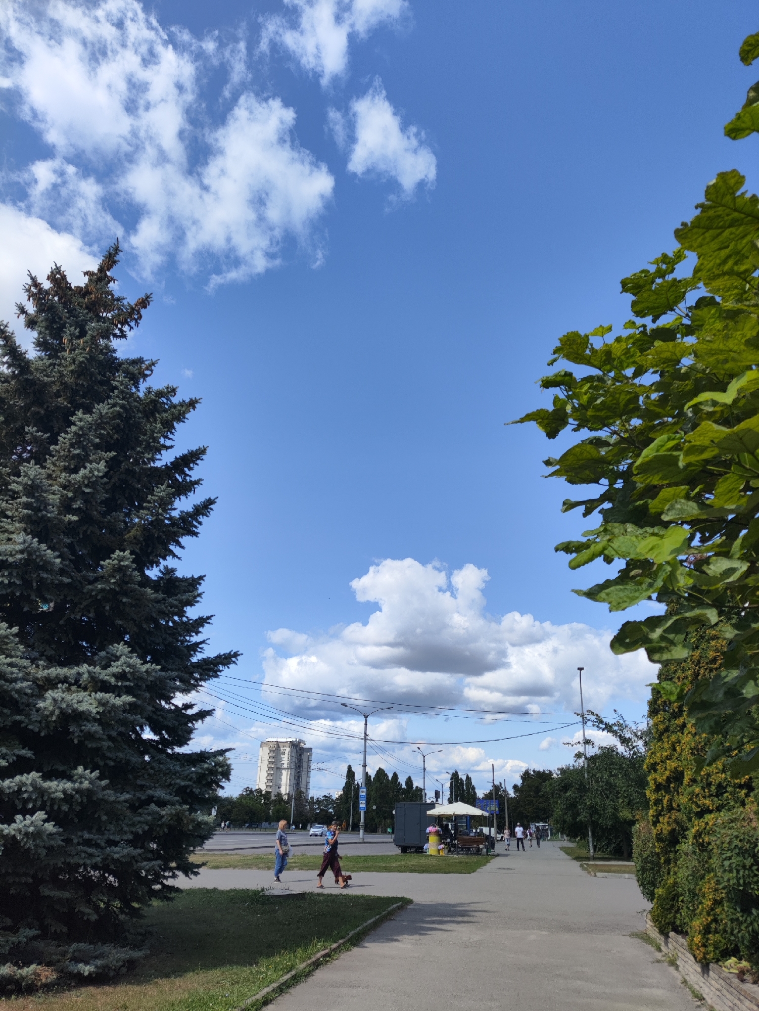 The image depicts an outdoor scene on a sunny day with a bright blue sky and scattered white clouds. In the foreground, a paved walkway runs parallel to a grassy area. Two trees are prominent: a large, dark green conifer on the left and a deciduous tree with lush green leaves on the right.
In the middle ground, several people are walking along the path. Two individuals are walking together, one in a dark outfit and the other in lighter clothing, accompanied by a small dog on a leash. Further down the path, other pedestrians are visible, as well as a food kiosk with a white umbrella and seating. Beyond the walkway, a road with cars and a multi-story building can be seen in the distance. Utility poles and wires are also present.
The scene appears to be a public space within a city, likely a park or a pedestrian area adjacent to a road. Given the context provided, this scene is identified as being in Kharkiv, Ukraine. The overall atmosphere is one of normal daytime activity in an urban environment.