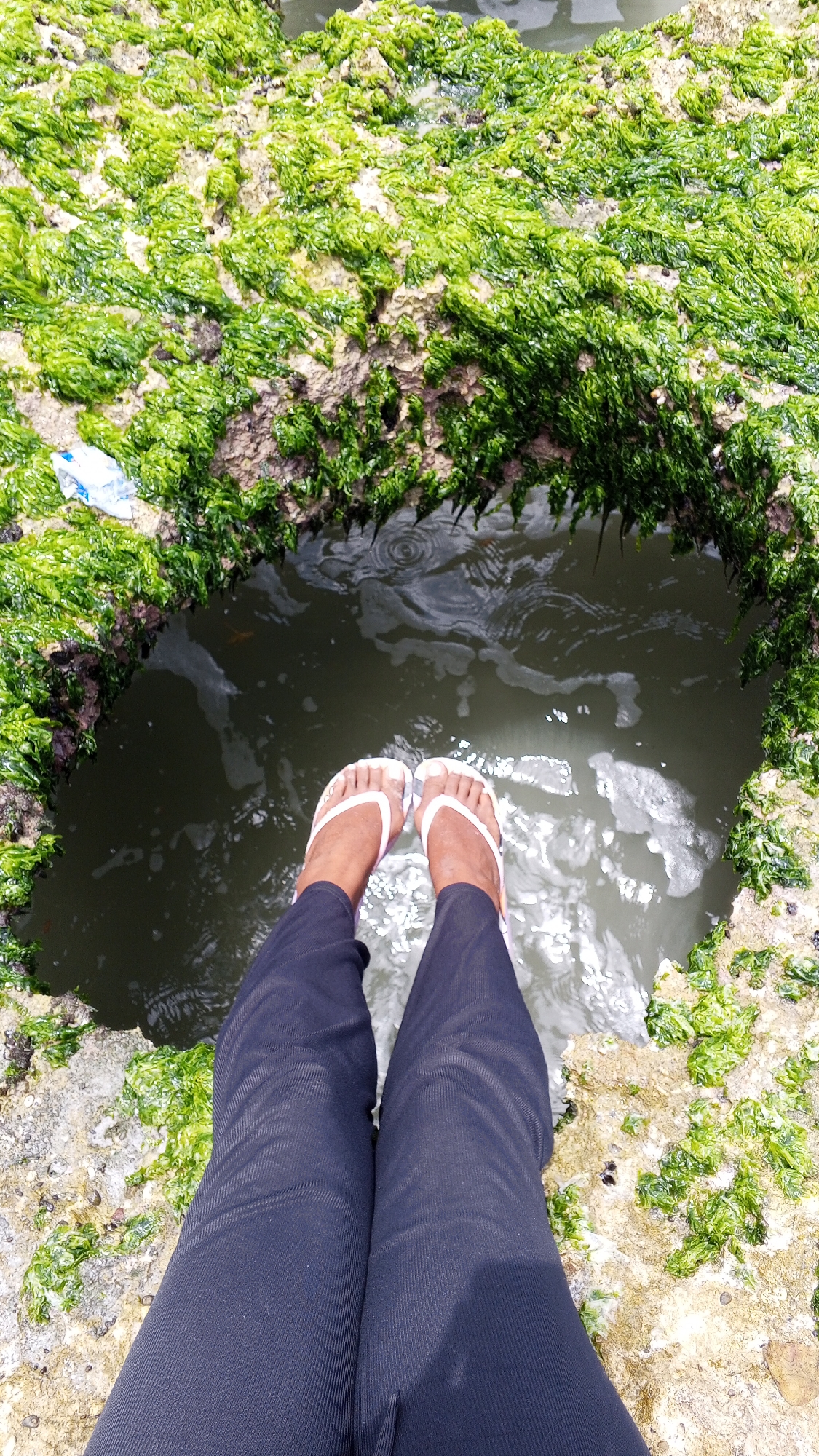 A top-down shot reveals a person sitting on a rocky outcrop, their legs clad in dark trousers and feet adorned with white and pink flip-flops dangling over a small, enclosed pool of water. The pool is surrounded by rocks covered in dense green algae. The water's surface shows some slight ripple from rainfall. A piece of white plastic litter sits amongst the algae on the edge of the rock. The scene is likely located in Juan Griego, Venezuela.