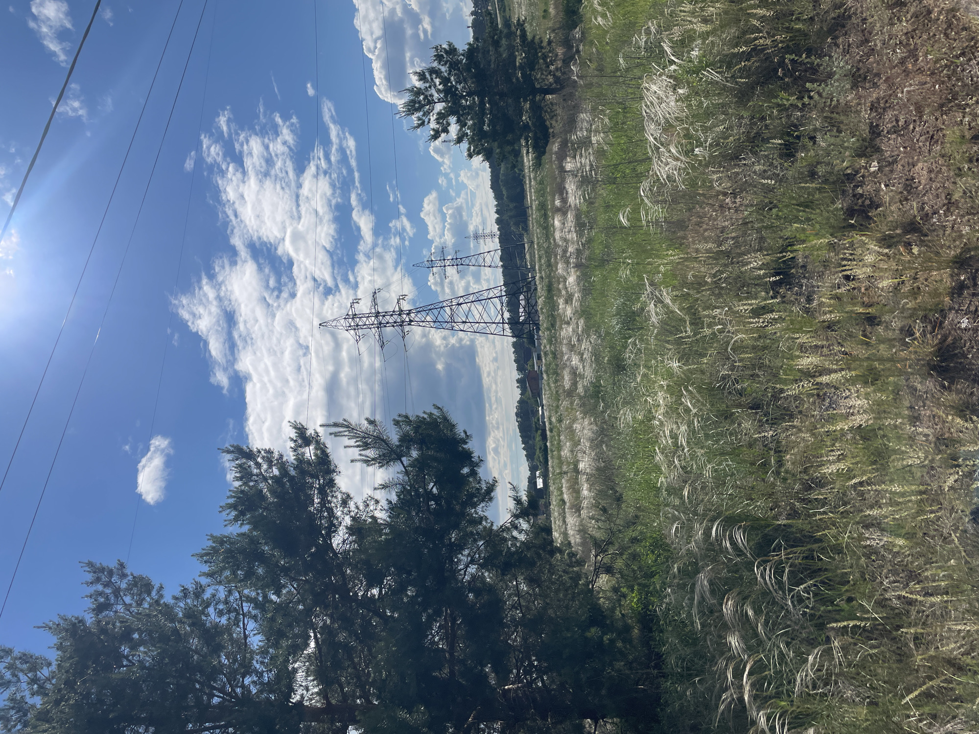 The image displays an outdoor, sunlit landscape located in the city of Vasilevka, Russia. The upper portion features a bright blue sky with scattered white cumulus clouds and a distinct sun flare originating from the upper right. Multiple dark power lines are visible, spanning horizontally and diagonally across the sky.
The mid-ground and foreground are occupied by a field of green grass, extensively covered with light-colored, wispy feather grass (Stipa species) that appears silvery-white, particularly in sunlit patches. The ground is uneven, with some darker, exposed earth visible in the lower right.
A large, dark green conifer tree (pine) occupies the left side of the frame, with its foliage extending into the mid-ground. A smaller, distinct conifer tree stands in the right mid-ground.
Several large, metal lattice-style electricity pylons are visible across the field, with the closest and most prominent pylon located in the left-center, supporting multiple power lines. Additional pylons recede into the distance. Beyond the field and a distant treeline, a cluster of residential buildings with visible roofs indicates a populated area. No individuals or animals are present in the scene.
