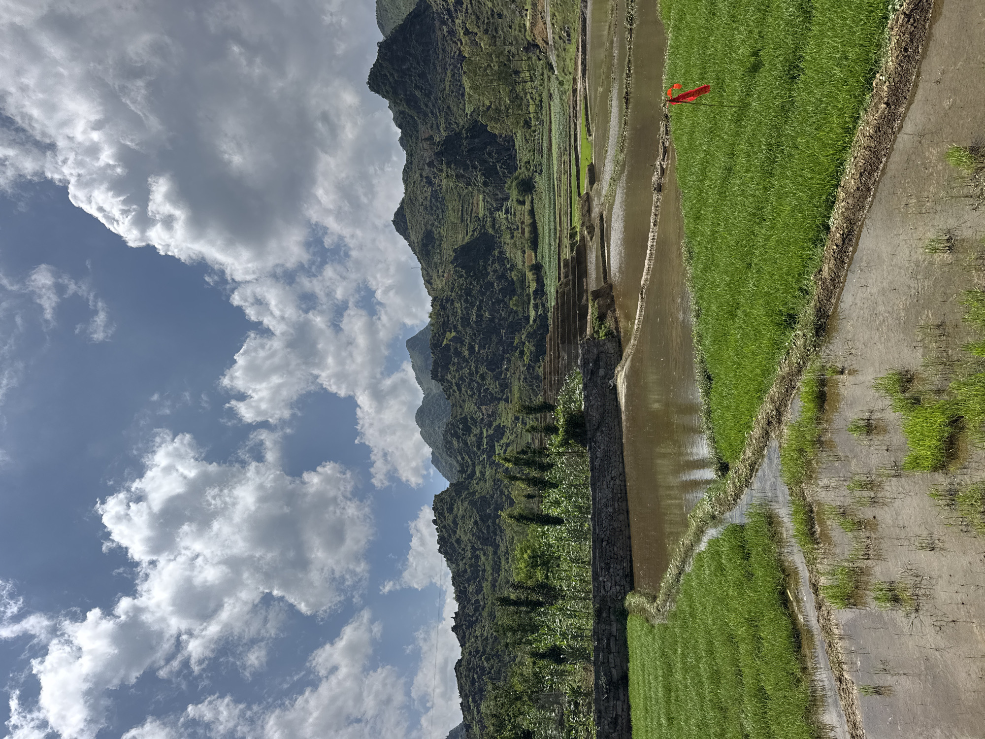 The image depicts a rural landscape, likely in Đồng Văn Commune, Vietnam, characterized by rice terraces and mountainous terrain under a partly cloudy sky. The terraces, filled with water and young rice plants, ascend the hillside, demonstrating agricultural land management. A mountain range, covered in dense vegetation, forms the backdrop. The sky is visible, filled with cumulus clouds against a blue sky. A red flag is visible on the horizon. The image is rotated 90 degrees counter-clockwise.
