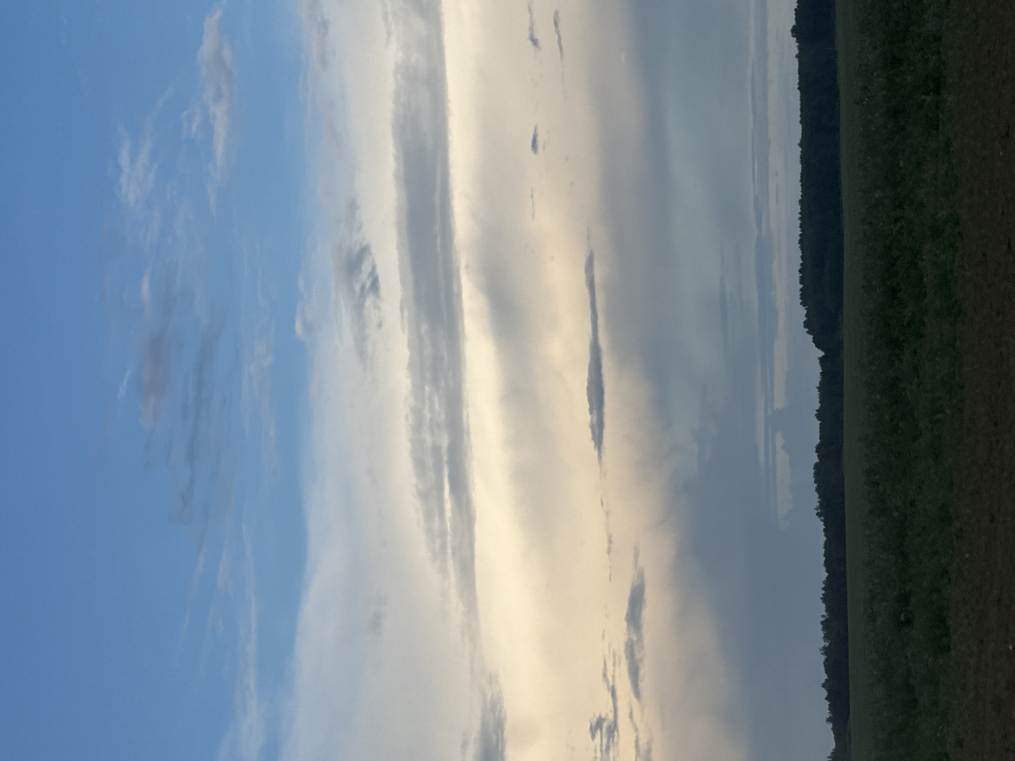 The image depicts a rural landscape with a vast sky dominating the upper portion. The sky transitions from a clear, bright blue at the top to softer hues of white and gray as it nears the horizon, suggesting either early morning or late evening. Wispy clouds are scattered across the sky, with some appearing denser and lower than others.

Below the sky, a dark, treeline forms a distinct horizontal band across the middle ground of the image. This treeline appears to be dense with foliage, likely a forest or a thick row of trees.

In the foreground, there are two distinct layers of vegetation. The immediate foreground shows a dark, tilled or bare patch of ground. Directly behind this, a field of green vegetation stretches across the bottom of the frame. The texture of this field suggests it could be a cultivated crop or dense, low-lying plants.

There are no visible people or animals in the image. The scene is static and quiet, conveying a sense of open space and natural tranquility. The overall impression is one of a peaceful, rural setting in the countryside. The location of Роўкавіцкі сельскі Савет, Belarus, is a rural administrative unit, which aligns with the visual characteristics of the image, suggesting a typical agricultural or forested area within that region.