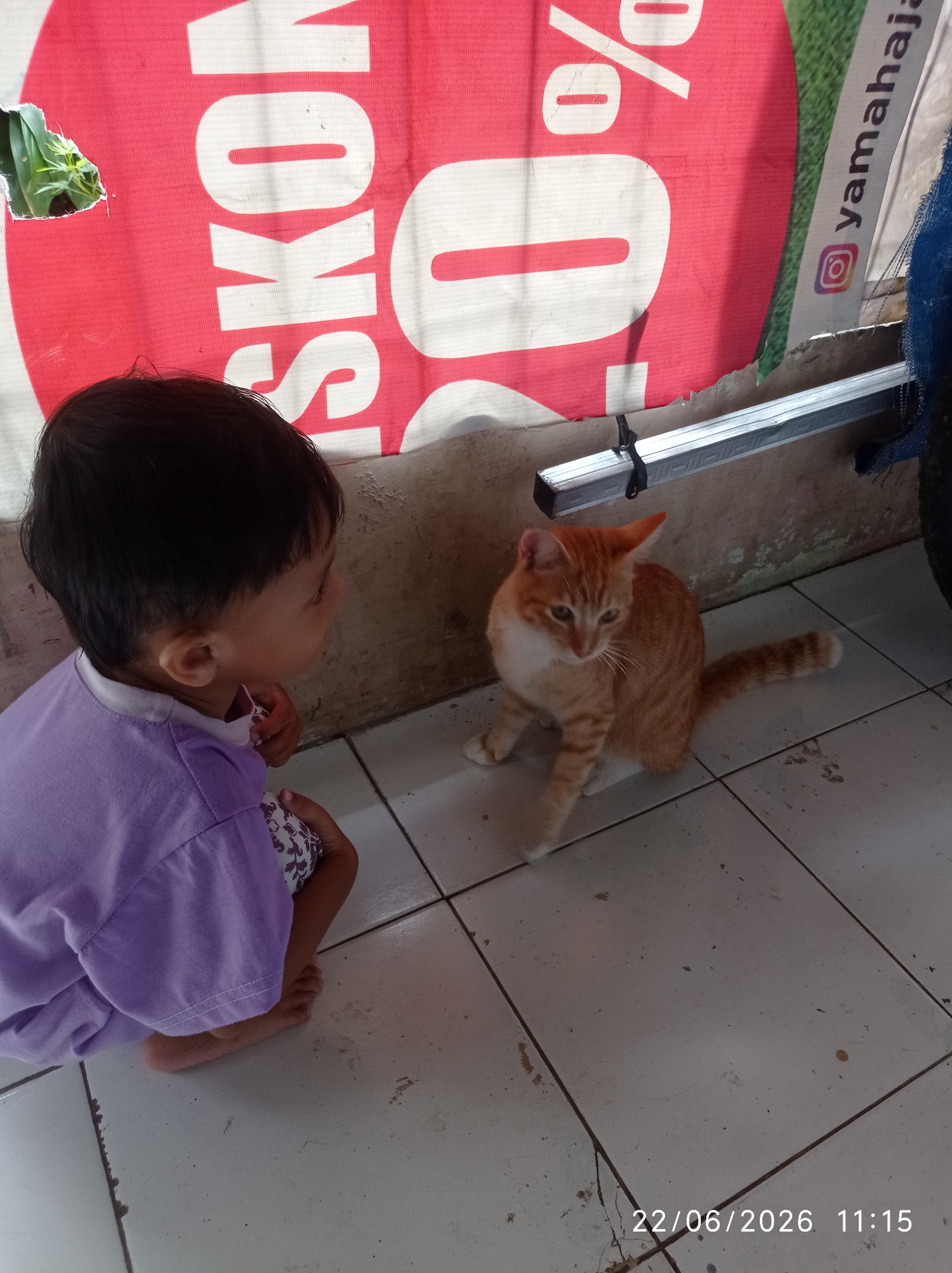 A young child in a purple t-shirt kneels on a tiled floor, looking at an orange tabby cat. The cat is sitting and facing the child, with its tail curled around its body. Behind them is a red banner with white text, partially obscured by the child and the cat. Text on the banner reads "DISKON 70%" and "yamahaj". The environment appears to be an outdoor or semi-outdoor space with a concrete wall behind the banner and metal framing above. A date and time stamp "22/06/2026 11:15" is visible in the bottom right corner.