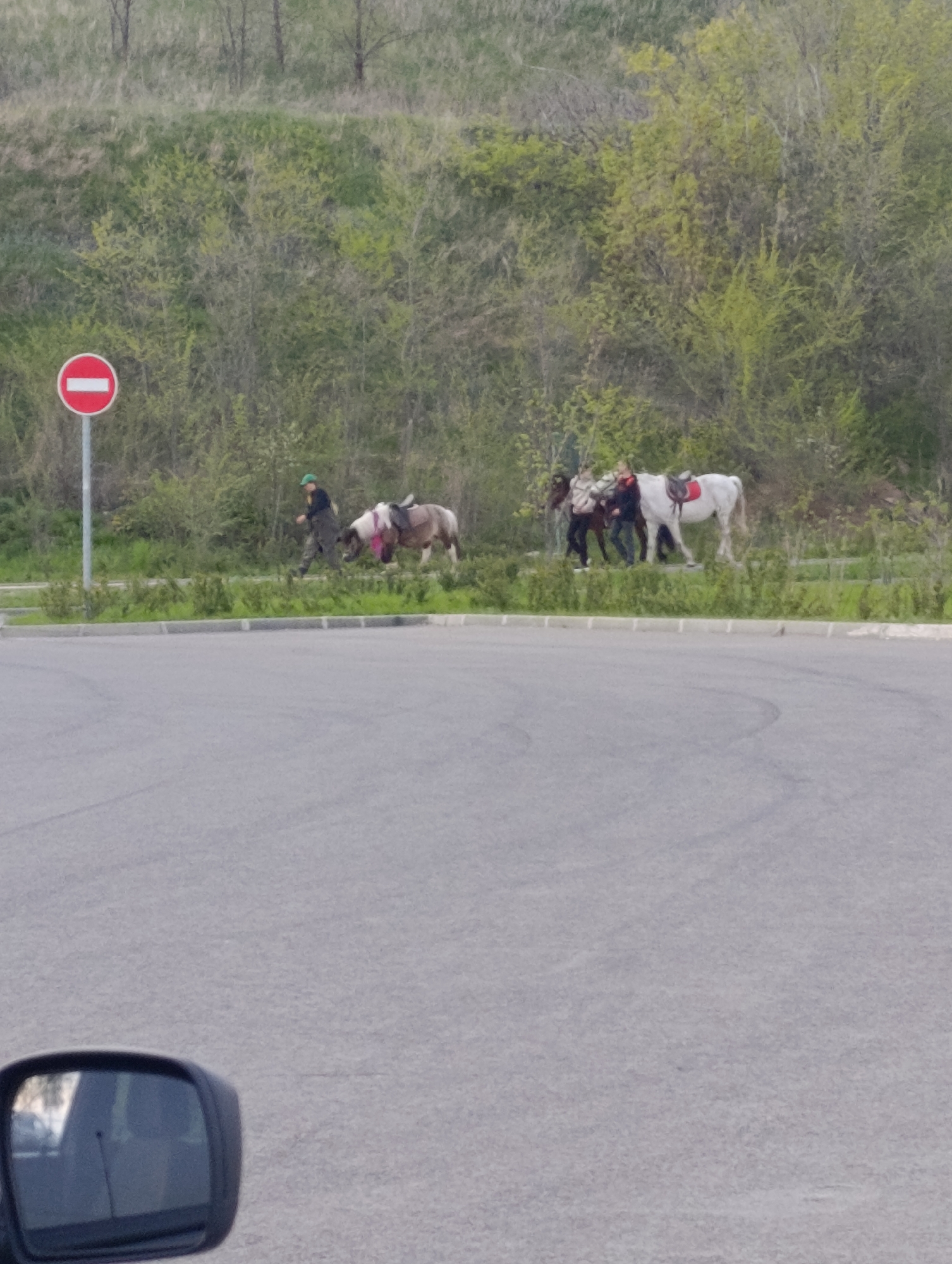 The image shows a street scene with a roundabout. A "Do Not Enter" sign stands to the left of the road. On the grass next to the road, a person leads a pony, and a group of people leads a horse. A portion of a car's side mirror is visible in the foreground. The background consists of a green hillside with trees.