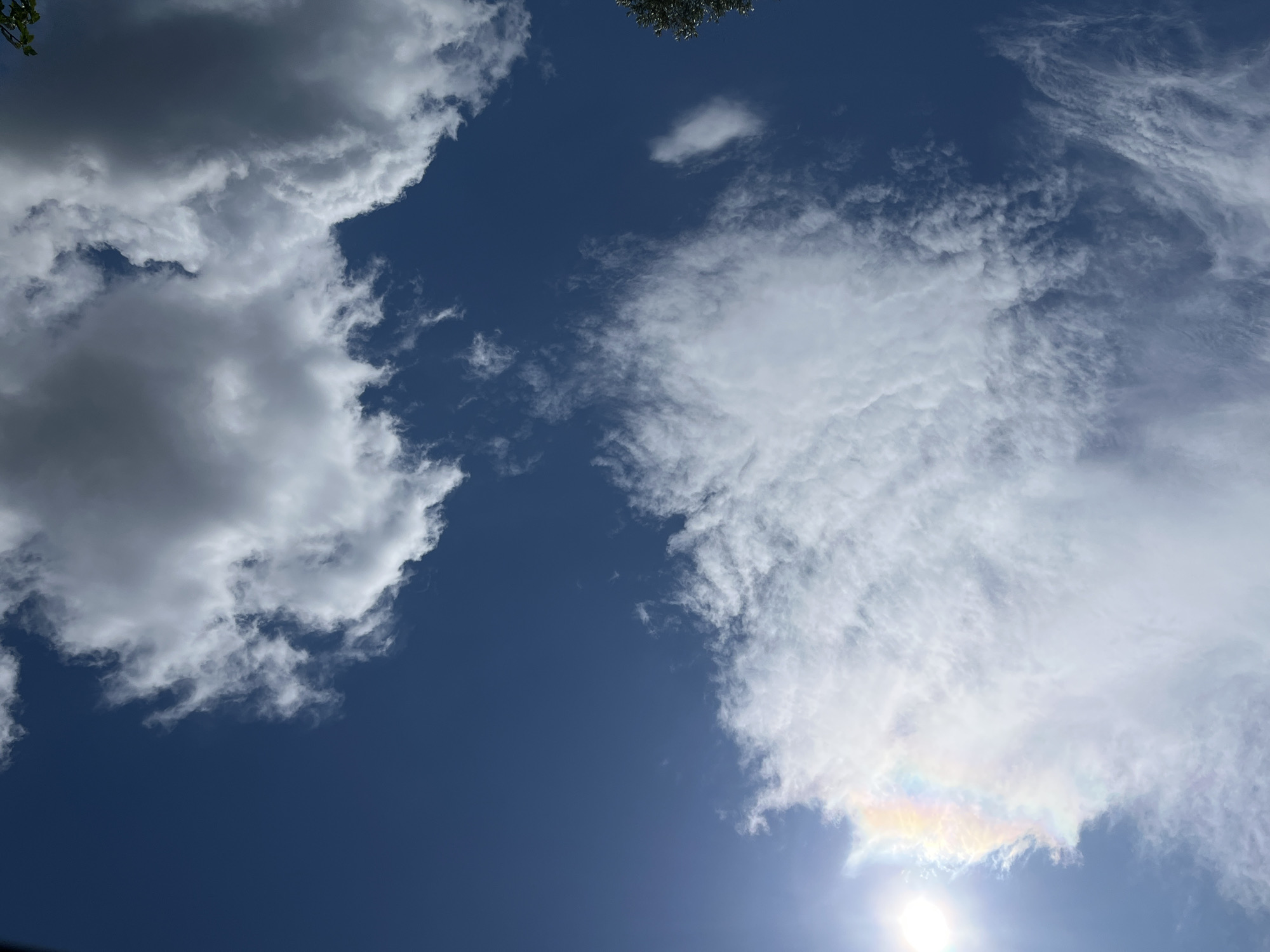 A bright sun shines in the upper left corner of the frame, casting a rainbow colored halo on a wispy cloud directly beneath it. The sky is a deep blue, with several large, fluffy white clouds scattered throughout. In the bottom center of the frame, a dark green tree canopy is visible.