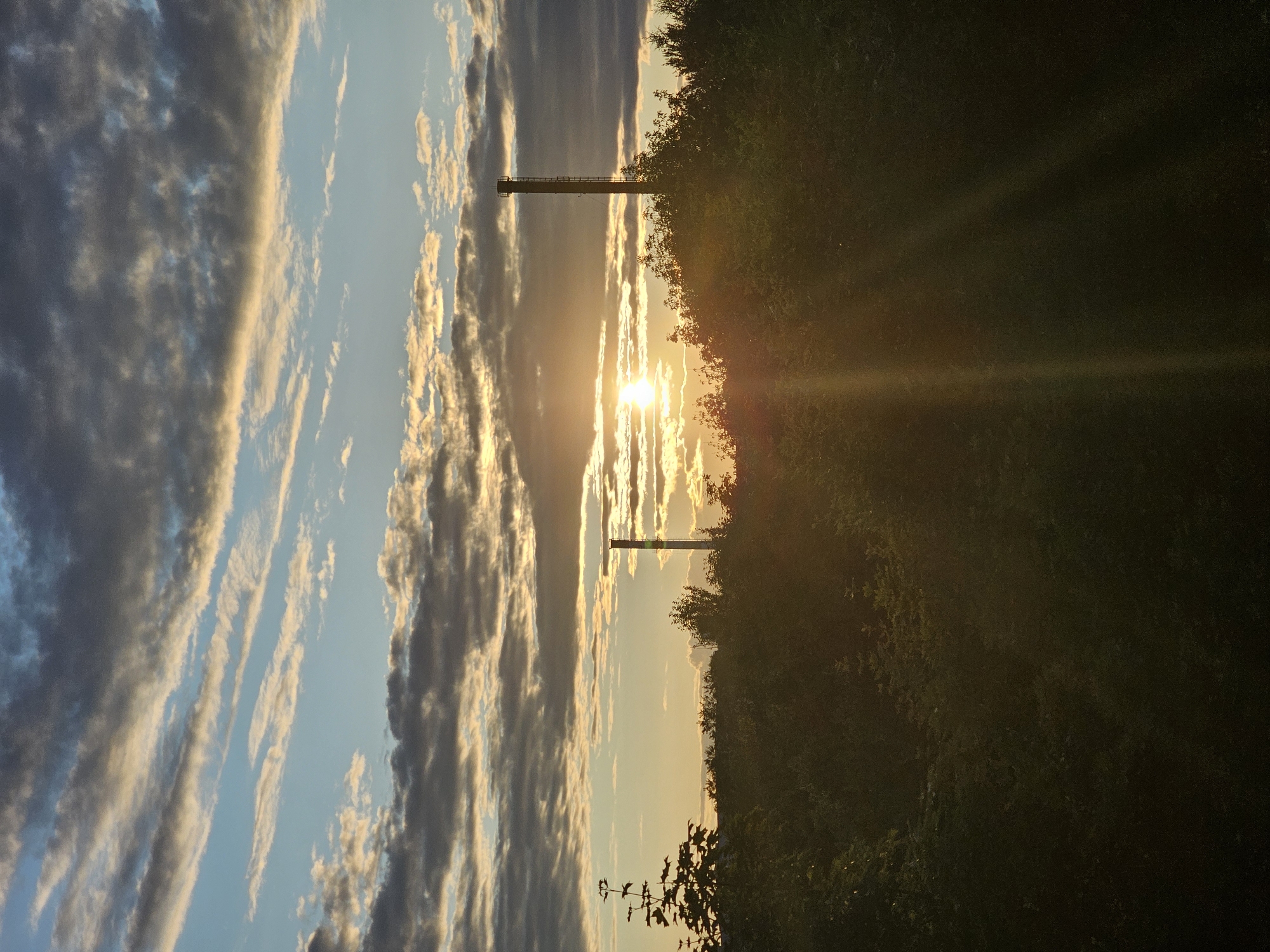 The image captures a sunset over a dense, dark green forest and vegetation in Khimki, Russia. Two tall, slender industrial chimneys are visible in the distance, silhouetted against the sky. The sun is low on the horizon, casting a warm, golden light that creates sunbeams filtering through the trees and illuminating the clouds. The sky is a mix of blue and dramatic, streaky grey and white clouds, some tinged with yellow from the setting sun. The foreground is dominated by the dark foliage of trees and bushes, obscuring the ground. A single, leafy tree branch extends into the frame from the left side. The overall impression is one of nature meeting industrial elements at dusk.