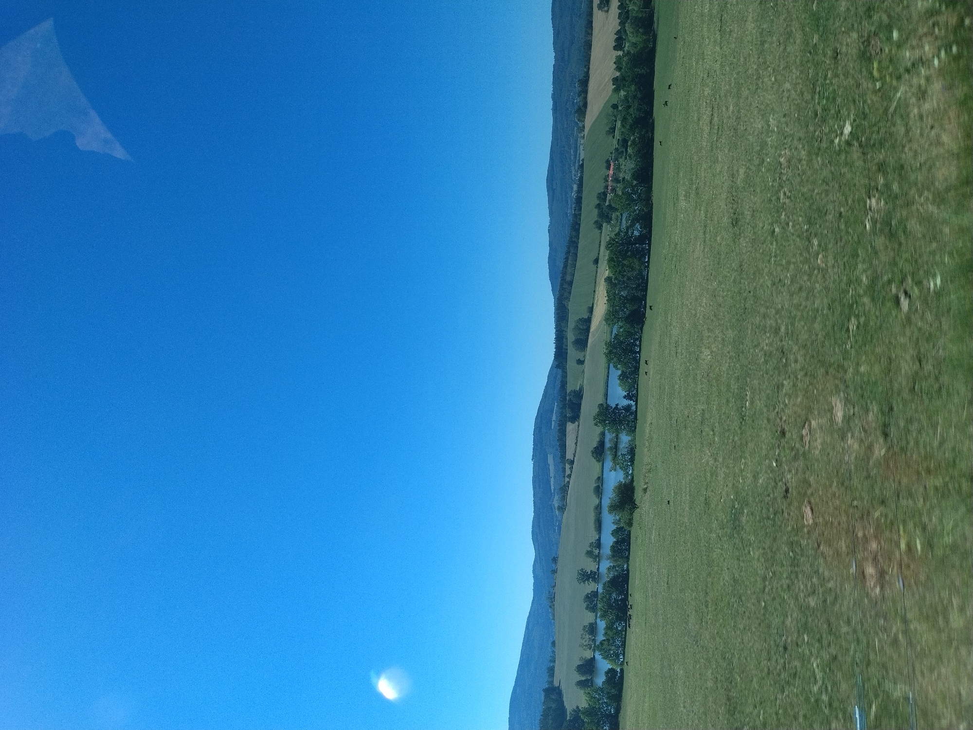 The image depicts a pastoral landscape under a clear blue sky. In the foreground, a vast expanse of green grassland stretches towards a body of water, likely a lake, situated in the middle ground. A line of trees borders the lake, with more distant rolling hills and mountains forming the backdrop. Several dark-colored animals, appearing to be cattle, are scattered across the grassland. A bright, diffused light source, possibly the sun reflected off a surface, is visible in the upper left quadrant of the sky. The scene conveys a sense of tranquility and rural life.