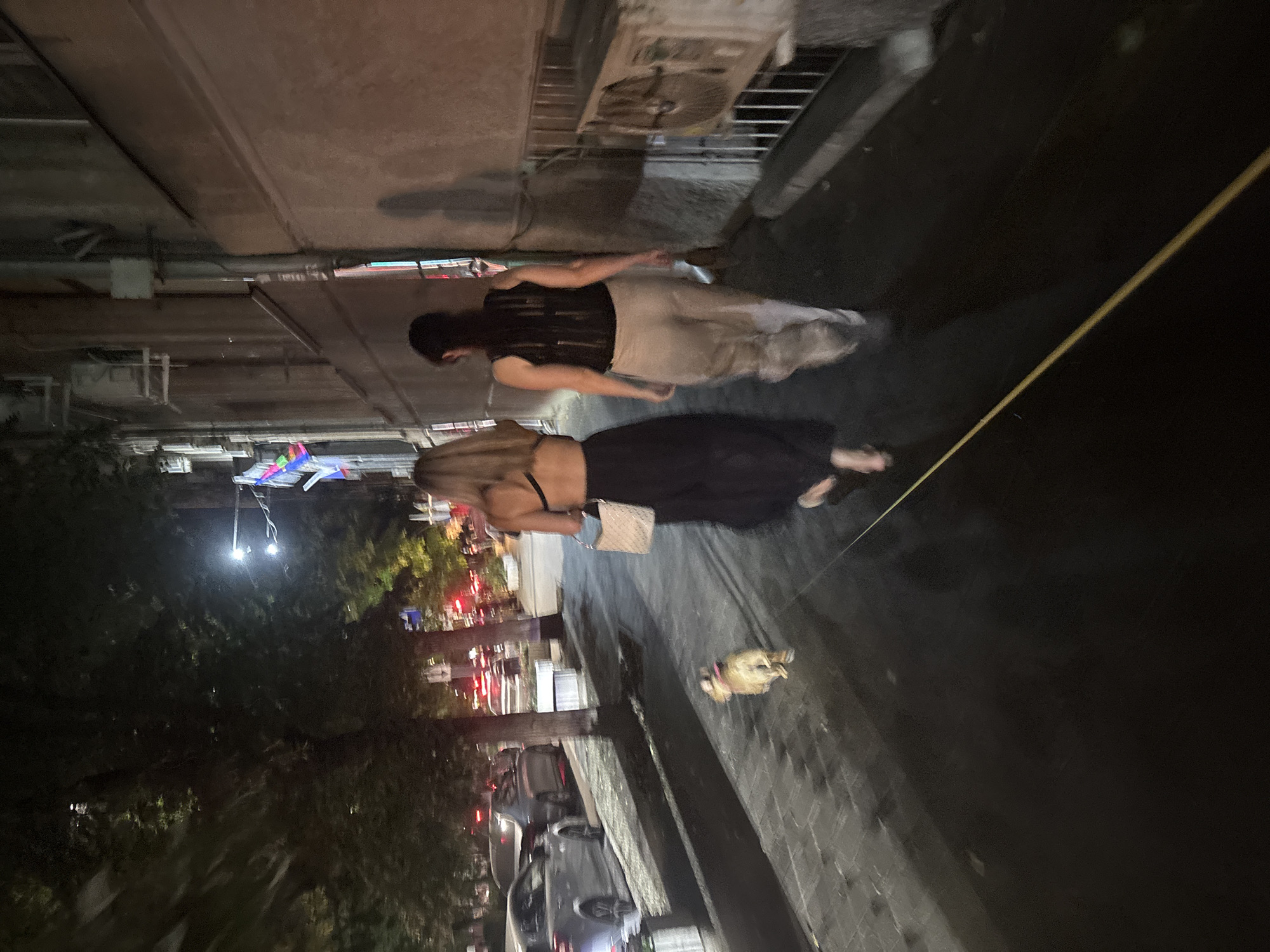 Two women and a small dog walk down a sidewalk at night. The woman on the left has blonde hair and is wearing a black bikini top and a long black skirt. She is carrying a beige woven bag. The woman on the right has dark hair and is wearing a black sleeveless top and light-colored pants. The dog is tan and is on a leash that extends to the right of the frame. The sidewalk is paved with cobblestones. To the left of the sidewalk are trees and parked cars. The buildings to the right of the sidewalk appear to be old and weathered. There are streetlights and neon signs visible in the background. The overall scene suggests a warm evening in an urban environment. The image is too blurry to definitively place the location within Krasnodar, Russia.