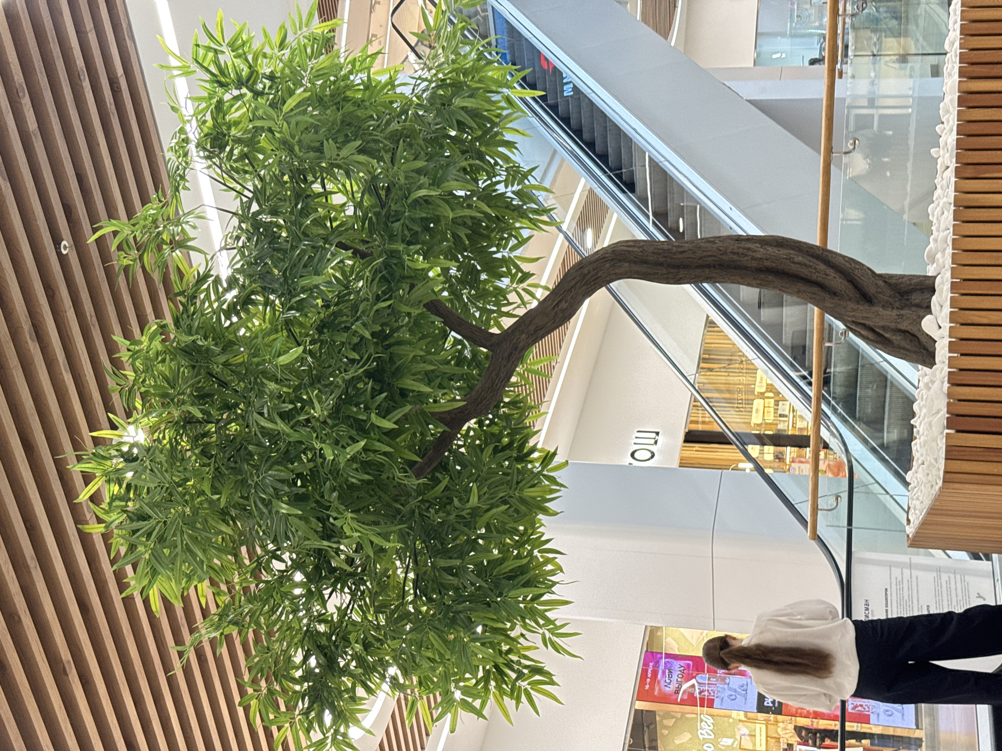 This image, taken in Izhevsk, Russia, captures an indoor scene within a modern, multi-level shopping mall or commercial building. The perspective is tilted, looking upwards at an angle.
The primary subject is a large, artificial tree with a thick, gnarled brown trunk that bends from the lower-left to the mid-right of the frame. Its dense canopy of vibrant green, slender leaves fills much of the left and central portions of the image, obscuring parts of the background.
In the background, a series of escalators with glass and silver railings ascends to higher levels, reflecting the bright indoor lighting. The architecture features clean lines, white walls, and glass partitions, indicative of contemporary design. To the far left, a slatted wooden ceiling or wall section is visible. A similar wooden structure, possibly a large planter for the tree, is seen on the far right, topped with decorative white stones.
Towards the bottom right, a person is seen from behind, standing and facing away from the camera. They have long, light brown hair tied in a ponytail and are wearing a white long-sleeved shirt and dark pants. They appear to be looking towards a store or display area.
Visible text on signs and displays includes:
- "мош" (partially visible, possibly part of a brand name) on a white sign near the escalators.
- On an illuminated advertising display: "К СВИ", "ВЫГОДУ" (benefit/profit), and "16-19 АПРЕЛЯ" (April 16-19), suggesting a promotional event.
- Further back, "ДИСМАН" (partially visible, likely a brand or store name) on another sign.
The setting is brightly lit by artificial light, suggesting an indoor environment typically found in a commercial hub. No specific activity beyond the person standing is discernible. The scene conveys a clean, modern commercial ambiance.