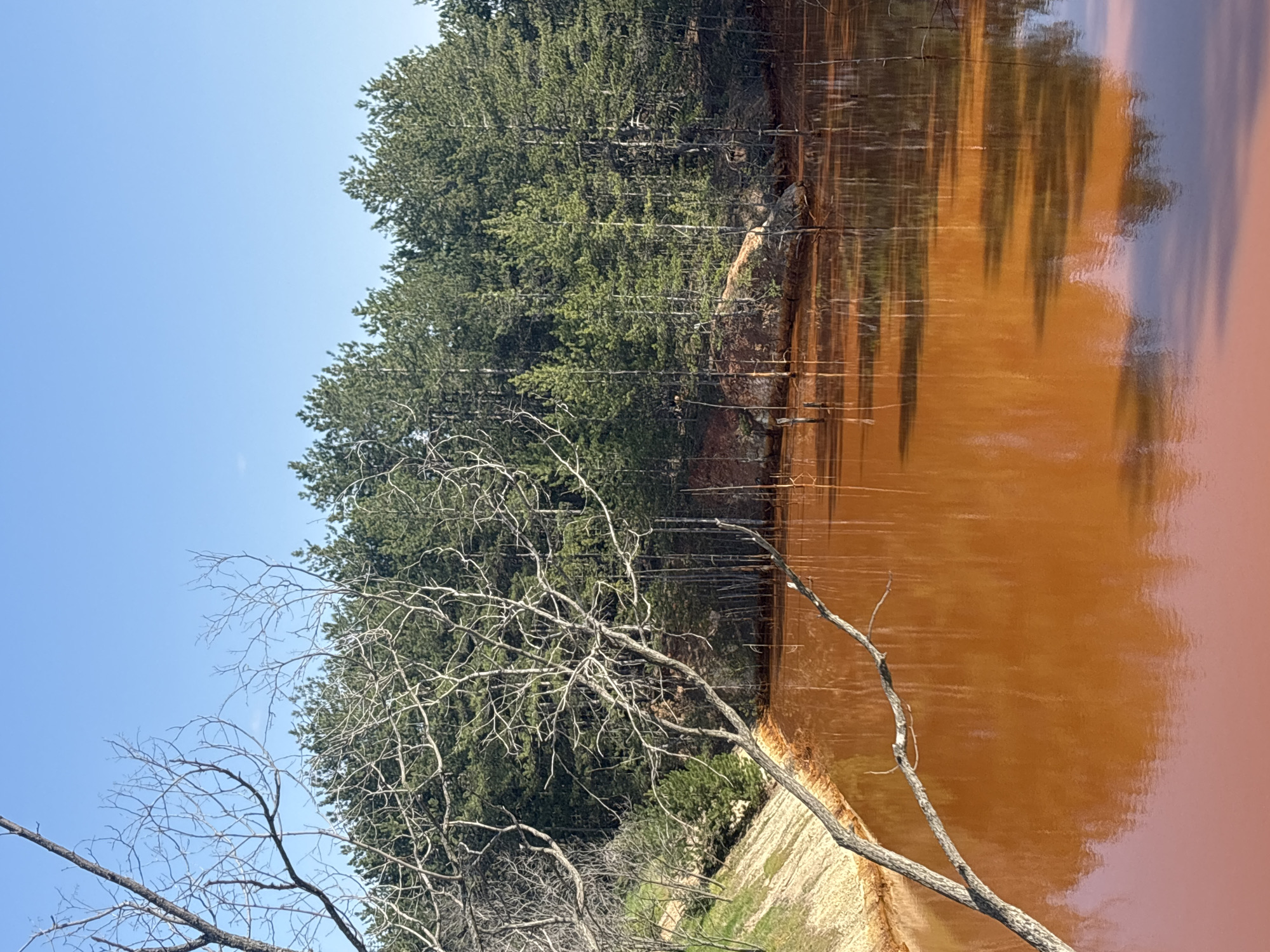 The image shows a landscape in Elshitsa, Bulgaria, featuring a body of water with a distinctive reddish-brown color. The color suggests high mineral or chemical content. Along the edge of the water, there's evidence of light-colored soil or sediment. A dense forest with green trees lines one side of the water, and their reflection appears in the water's surface. In the foreground, there are bare, leafless branches of trees, possibly indicating a time of year or environmental conditions that affect plant life. The sky above is a clear blue, and the overall scene suggests a natural landscape potentially impacted by mineral deposits or industrial runoff, a defining characteristic of the environment near Elshitsa.
