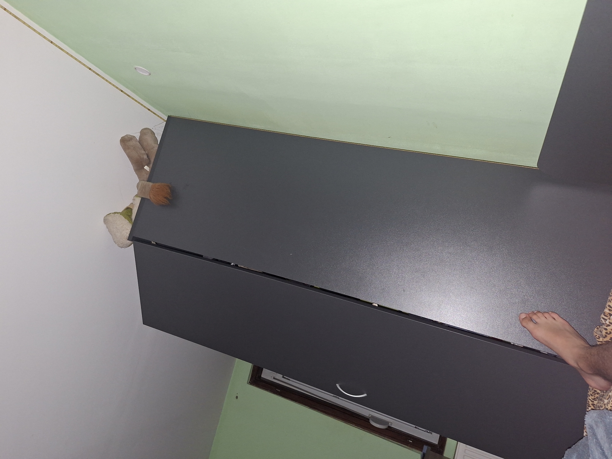 A stuffed animal, appearing to be a dog with brown fur and a tan belly, is resting on top of a dark gray wardrobe. The stuffed animal's head is partially visible, with a tuft of orange-brown fur sticking out. The wardrobe is large and appears to be made of wood or laminate. To the left of the wardrobe, a white radiator is visible, and to the left of that, a wooden door frame with a white door is partially obscured by the wardrobe. The walls in the background are painted a light green. The flooring is a patterned rug with leopard print. A bare foot, belonging to a person, is visible in the lower left corner of the image, positioned near the edge of the rug and wardrobe. The image was taken indoors, likely in a bedroom or living area. The location is Basarbovo, Bulgaria.