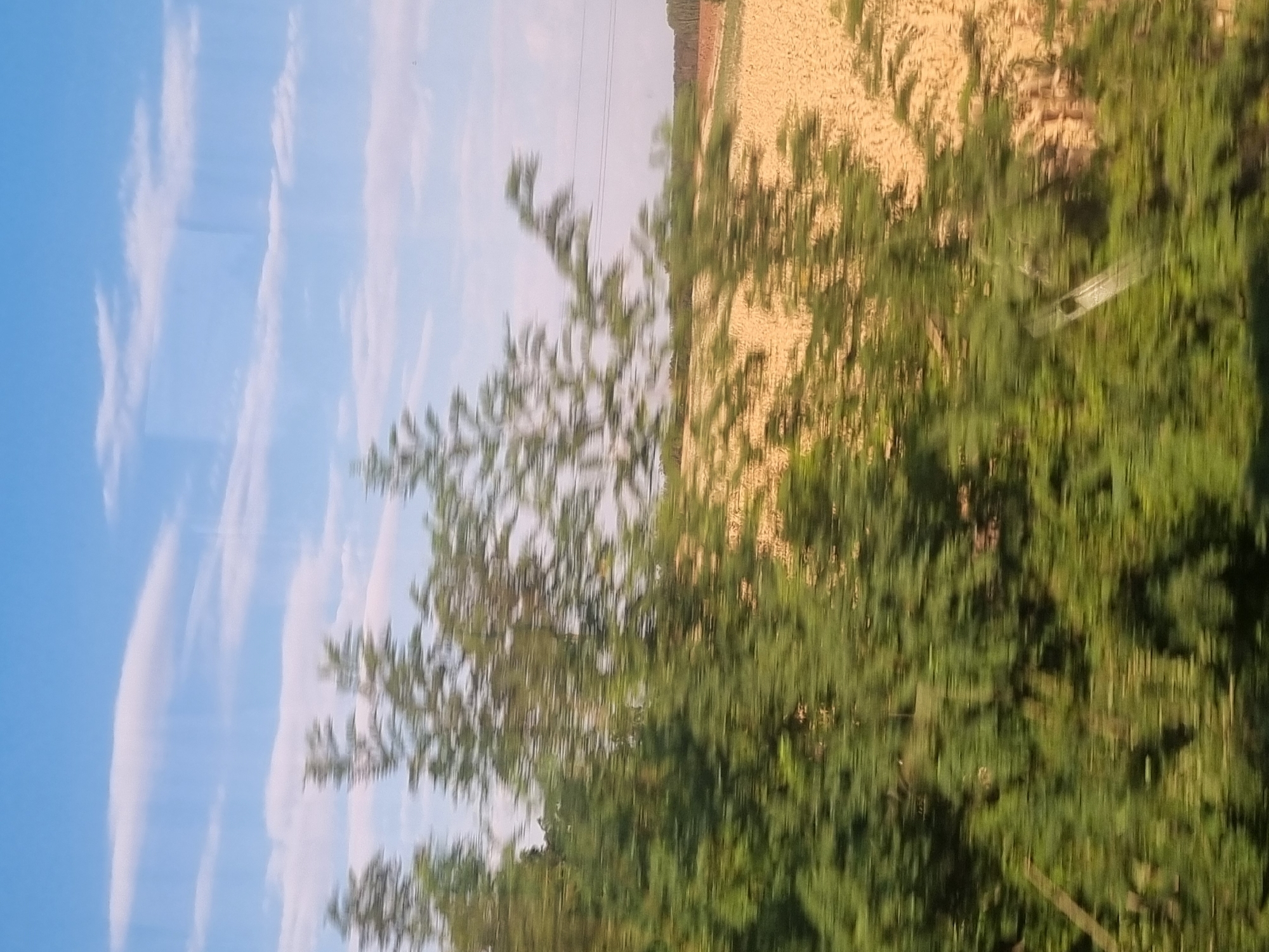 This is a blurred, horizontal image taken from a moving vehicle in Berettyóújfalu, Hungary. The foreground is dominated by blurred green foliage, suggesting trees or bushes. In the midground, a field of tan or light brown crops, possibly harvested wheat or corn, is visible. The background features a bright blue sky with wispy white clouds. A thin line, likely a power line, stretches horizontally across the scene in the upper midground. The overall impression is that of a rural landscape passing by.