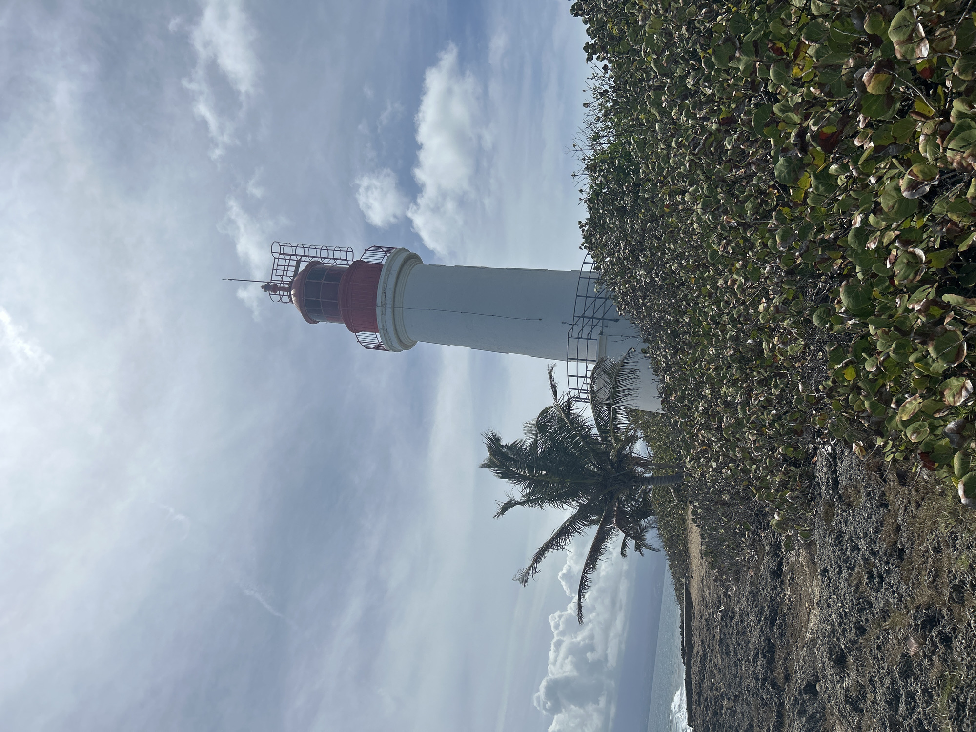 A coastal scene in Le Gosier, France featuring a lighthouse. The lighthouse is cylindrical, painted white with a red top, and stands near the coastline, with vegetation and a palm tree at its base. The sky is overcast with light clouds, and the ocean is visible in the distance. The foreground includes rocky terrain covered with coastal foliage. The image is taken from a low angle looking up at the lighthouse and the sky.