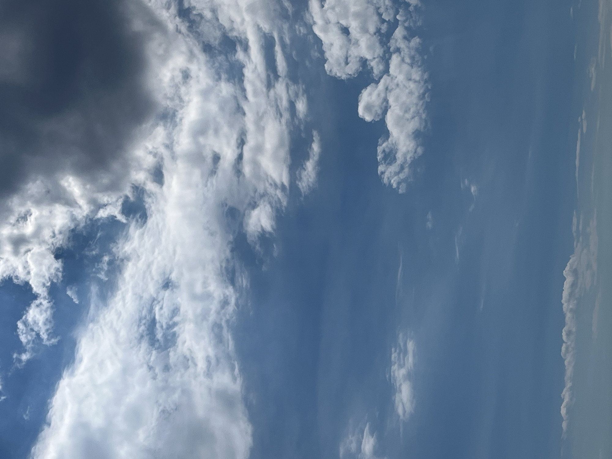 This is a vertical, eye-level, full shot of a wide expanse of the sky filled with a variety of clouds. The sky is a gradient of blue, lighter at the bottom and darker towards the top. On the left side of the frame, a dense collection of white, fluffy clouds occupies the upper half, with thinner, wispy clouds scattered below them. To the right, a large, dark gray cloud mass dominates the upper portion of the image, creating a stark contrast with the lighter clouds and blue sky. Towards the bottom of the frame, a thin layer of scattered, light-colored clouds is visible against the horizon. The scene appears to be an outdoor environment, likely from a ground-level perspective looking upwards, with no discernible urban or natural landscape features other than the sky. The lighting suggests it is daytime, with sunlight filtering through and around the cloud formations.