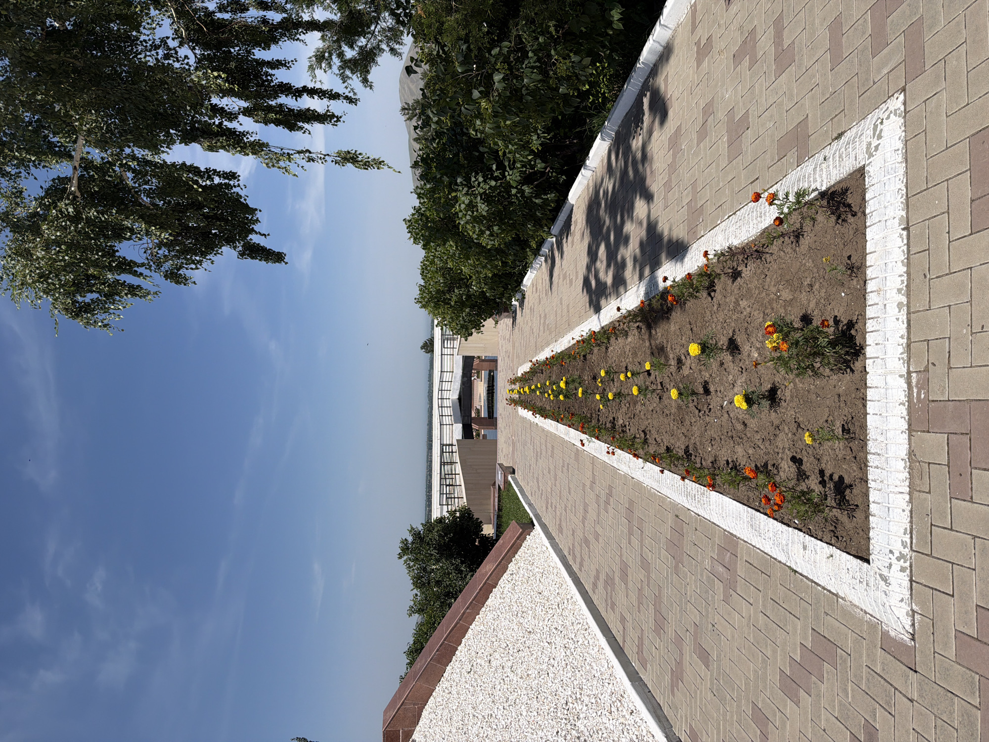 The image depicts a meticulously landscaped outdoor area with a clear blue sky overhead. In the foreground, a paved walkway with a herringbone pattern of beige and brown bricks leads the viewer's eye towards a distant structure. A long, narrow flower bed runs down the center of the walkway, planted with rows of vibrant orange and yellow marigolds. To the left of the walkway, a sloped area covered in white gravel is bordered by a reddish-brown stone structure. To the right, a dense line of lush green trees and bushes forms a natural barrier, casting dappled shadows on the brick path. In the mid-ground, a modern-looking bridge or walkway structure spans across a body of water, or a similar expansive flat area, with railings and pillars. The overall scene suggests a well-maintained park or public space, likely in a warm climate given the blooming flowers and clear sky.