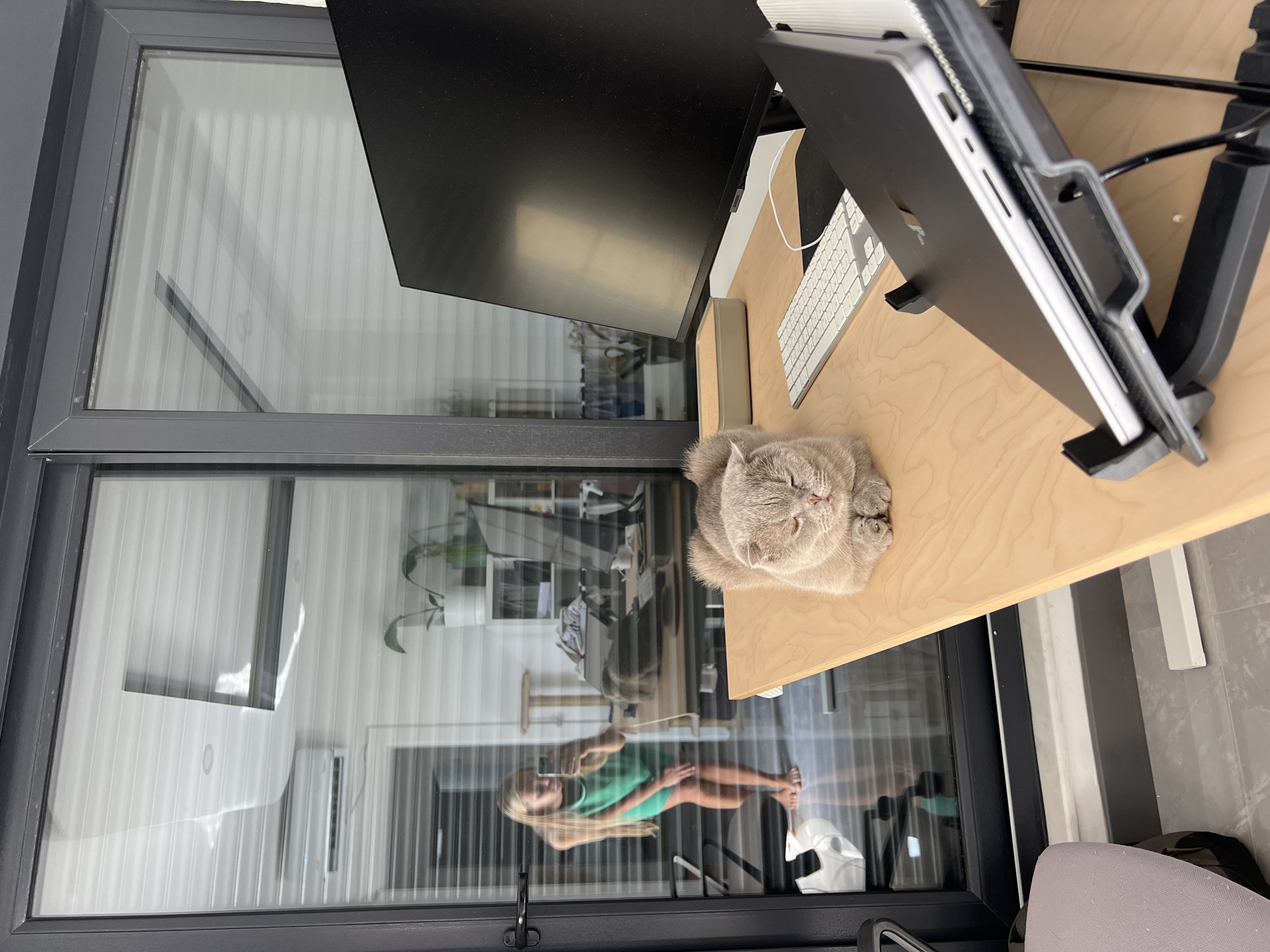 The image shows a cat sleeping on a desk next to a computer monitor and keyboard, with a laptop on a stand in the foreground. In the reflection of a glass door, a young woman wearing a green dress is visible. The scene appears to be an office or home workspace with blinds on the windows. The location is described as Aksu, Turkey.