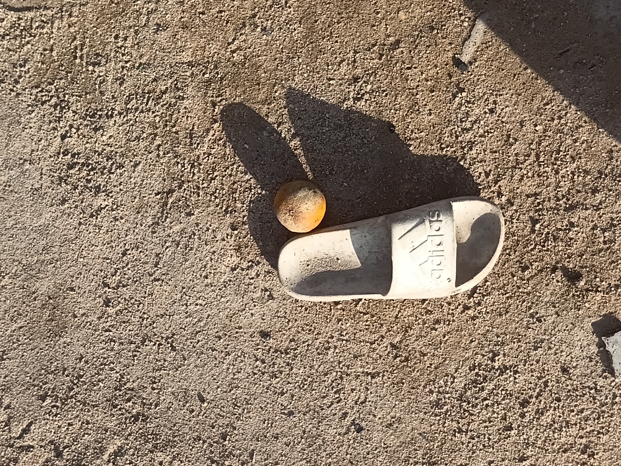 The media file displays a close-up, overhead shot of a single white Adidas slide sandal lying on a gritty, sandy surface. A small, round, orange object, possibly a fruit or a small ball, rests on the sole of the sandal. The lighting suggests it is daytime, with a strong shadow cast by the sandal and the orange object, indicating bright sunlight. The texture of the ground is granular, composed of small pebbles and sand. The Adidas logo is clearly visible on the sandal's strap. The scene appears to be outdoors, with no other people or objects in the immediate vicinity. The setting could be a playground, a backyard, or any outdoor area with a sandy or gravelly ground. The time of day is likely late morning or early afternoon, judging by the length and angle of the shadows. The overall impression is one of a simple, everyday scene captured in natural light.