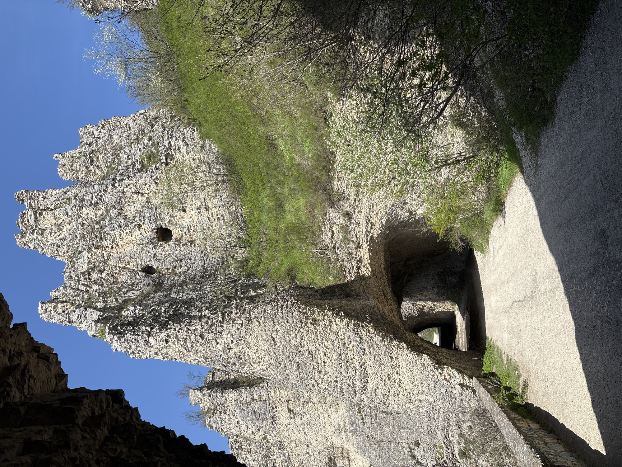 The image depicts a winding path through a dramatic, rocky landscape under a clear blue sky. The scene is dominated by towering, light-colored rock formations with a rough, jagged texture, reminiscent of cliffs or ancient ruins. On the left, a particularly prominent, heavily textured rock face rises steeply, with some small holes or openings visible within it.
The path, which appears to be paved or graveled, curves into the middle ground and disappears into a series of dark tunnel-like passages carved or naturally formed within the rock. Beyond the first opening, another archway is visible deeper within the structure, suggesting a complex route.
Above the path and along the upper edges of the rock formations, slopes of lush green grass are visible, interspersed with trees and shrubs, some of which are covered in delicate white blossoms, indicating springtime or early summer. Bare branches are also seen against the sky and rock.
Strong sunlight casts sharp shadows across parts of the path and within the tunnels, highlighting the rugged textures of the rock and creating a contrast between light and dark areas. The absence of people suggests a focus on the natural and historical grandeur of the location.
The setting is a natural or historically significant pass or gorge, consistent with the location context of Asparuhovo, Bulgaria, which is known for its impressive natural formations and historical sites, such as the Asparuhov Bridge and related geological features. No visible text is present in the image.