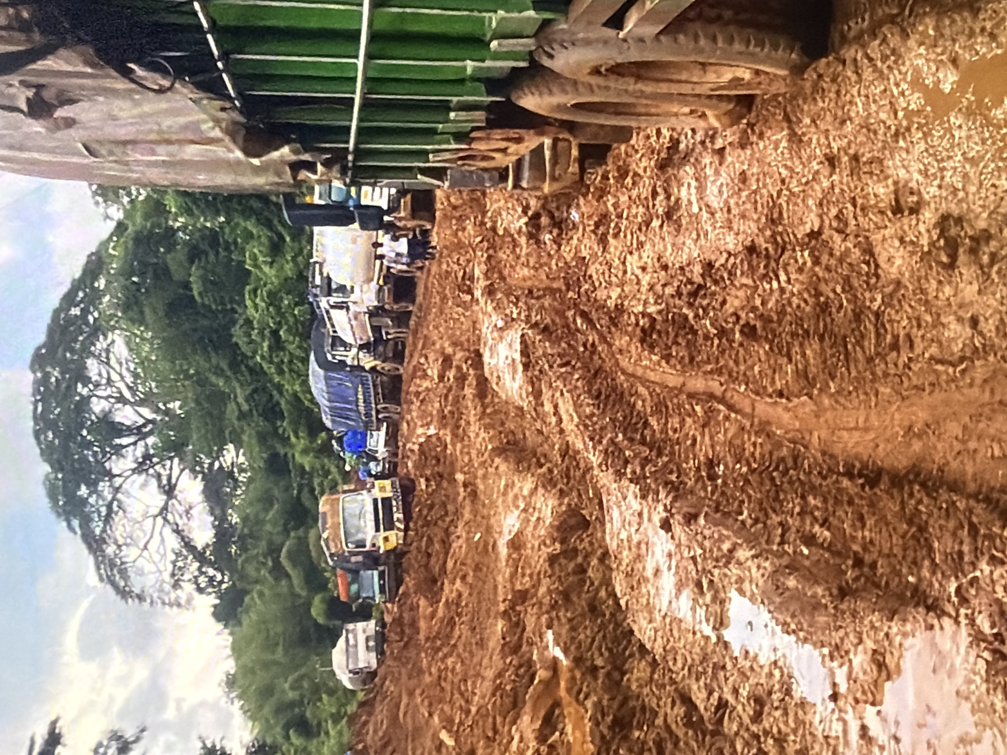 The image depicts a muddy road with several trucks, suggesting a difficult transportation scenario. The road is heavily rutted and covered in brown mud and puddles, indicating recent rainfall or poor road conditions. A line of trucks is visible, some appearing to be stuck or moving slowly due to the terrain. In the background, lush green trees and foliage suggest a natural or rural environment. The sky is overcast with clouds. A few people are standing near the trucks, possibly assessing the situation or attempting to clear the path. The overall scene conveys a sense of obstruction and challenge in navigating the road.