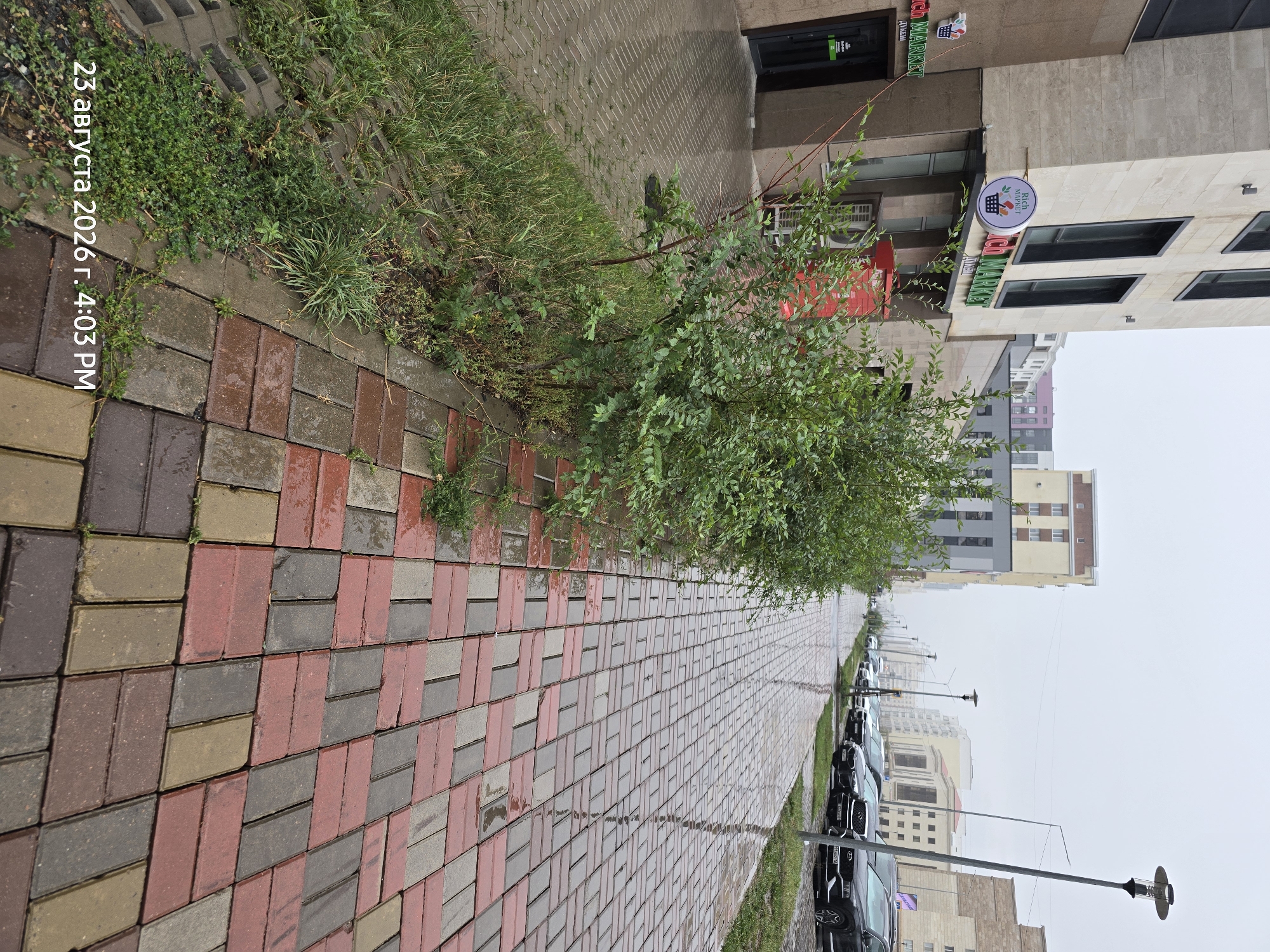The image depicts an outdoor scene in Astana, Kazakhstan, on a cloudy day. A red and gray brick sidewalk, wet from rain, leads diagonally from the lower right to the upper left of the frame. To the left of the sidewalk, there is a strip of green grass and bushes. Beyond the grass is the facade of a modern building with light-colored stone cladding and dark-framed windows. A sign with the words "Rich Market" and a shopping basket logo is visible on the building. Further down the street, more modern buildings and parked cars are visible, suggesting an urban or suburban commercial area. The sky is overcast, and the lighting conditions indicate it is daytime, likely mid-afternoon given the timestamp.