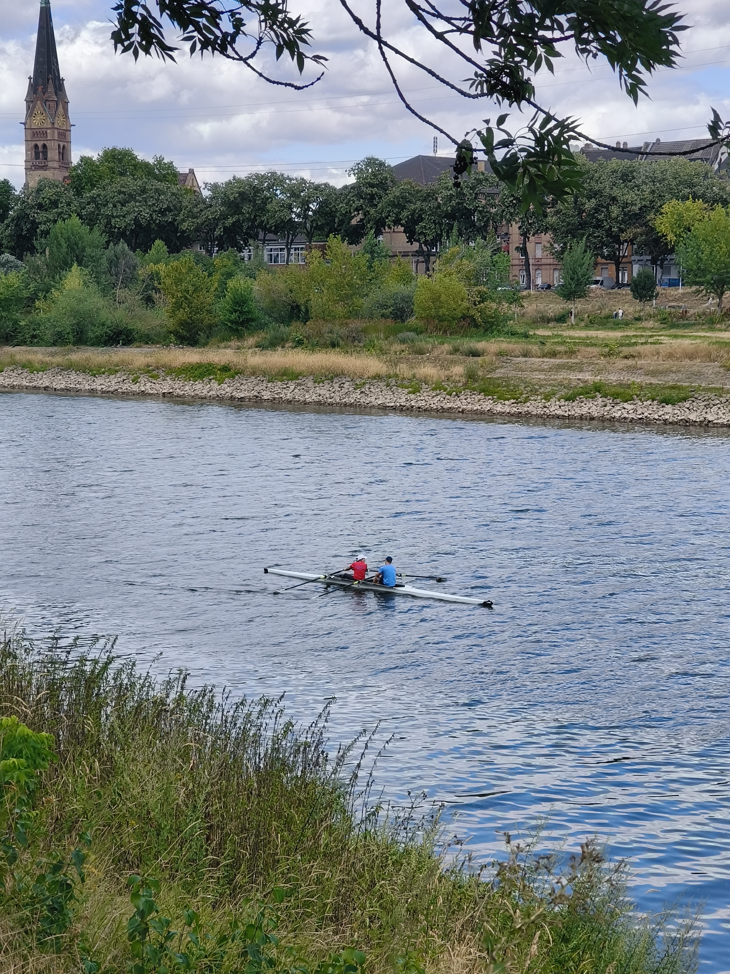 This image depicts a scene on the Rhine River in Mannheim, Germany, with the historic St. Sebastian Church visible in the background. In the foreground, two individuals are engaged in rowing a long, narrow boat on the calm, rippling blue water. The person in the front is wearing a red shirt, and the person behind is wearing a blue shirt. They are both holding oars and appear to be actively rowing.
The riverbank is lined with dense green vegetation and tall grasses, with a rocky embankment visible in the distance. Beyond the riverbank, a row of trees separates the water from urban structures. The St. Sebastian Church, characterized by its tall, pointed spire and clock face, stands prominently against a partially cloudy sky, suggesting a bright but overcast day. The overall environment is natural and serene, with a hint of urban presence from the church and buildings in the background.
