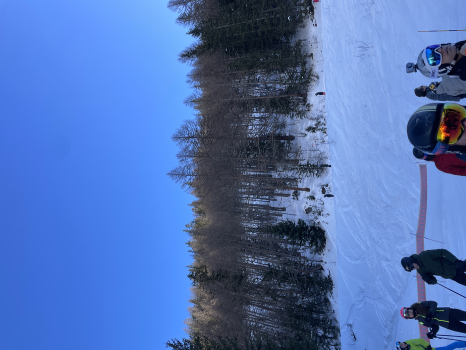 This media file captures a sunny winter day on a ski slope in Courmayeur, Italy. The image, rotated counter-clockwise, shows a clear, bright blue sky on the left side, indicating excellent weather. A dense line of trees, including both bare deciduous trees and dark green coniferous evergreens, runs horizontally across the middle of the frame, forming a natural border between the sky and the ski area.
On the right side of the image, a snow-covered ski slope is visible, featuring visible ski tracks on the white surface. Several skiers are present on the slope, dressed in full ski gear, including helmets, goggles, and winter jackets. In the foreground, a skier wears a black helmet with a striking yellow/orange mirrored visor and a red jacket; a "Dynastar" logo is faintly visible on their helmet. Directly behind them, another skier wears a white "POC" helmet with blue mirrored goggles and has a GoPro camera mounted on top. Further down the slope, additional skiers can be seen, dressed in various colored jackets (dark green, black/yellow, light green), holding ski poles. They appear to be either queuing or gathered at a starting point on the slope. A red safety net or rope runs along the far right edge of the ski slope. The bright sunlight suggests it is likely midday or early afternoon.