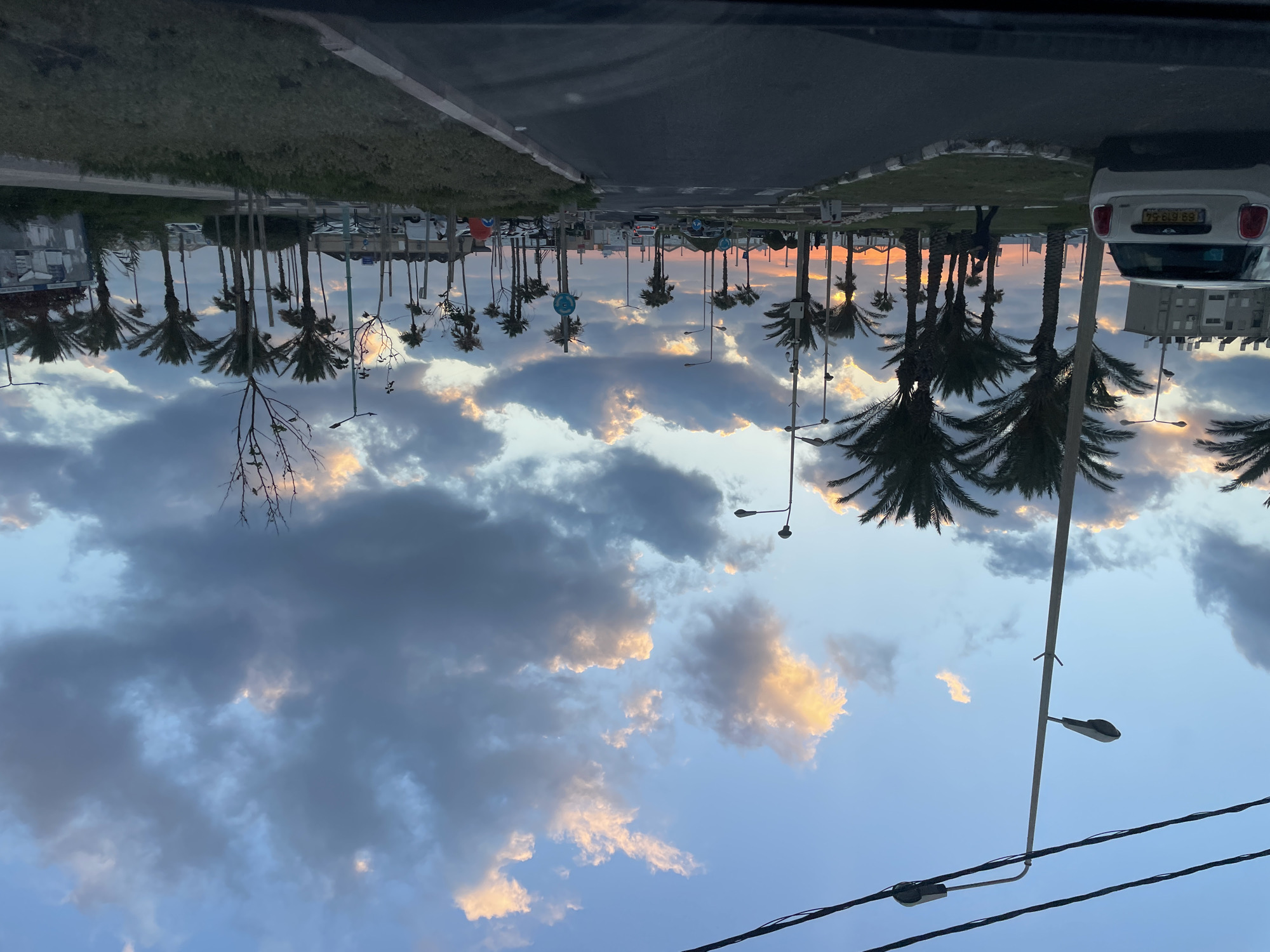 This is a street-level, eye-level, outdoor, medium shot photograph taken at dusk, likely from inside a vehicle. The scene depicts a coastal urban environment with palm trees lining a road. The sky is filled with dramatic clouds, some illuminated by the setting sun with hues of pink and orange, contrasting with darker, silhouetted clouds.
In the foreground, on the left side of the road, a white Mini Cooper car is parked, displaying an Israeli license plate. The road itself is asphalt, with white and gray curbs. A grassy median separates the lanes, planted with numerous palm trees of varying heights. In the middle ground, several cars are visible on the road, and pedestrians can be seen walking.
Further in the background, buildings are visible, with some appearing to be apartment complexes. The presence of streetlights and power lines indicates an urban infrastructure. The overall atmosphere is that of a developing residential or recreational area near the coast.
Considering the context provided, this scene is located in the city of Haifa, Israel, potentially in a coastal neighborhood or along a promenade. The visual elements, such as the architecture, the types of vehicles, and the vegetation, are consistent with this location.