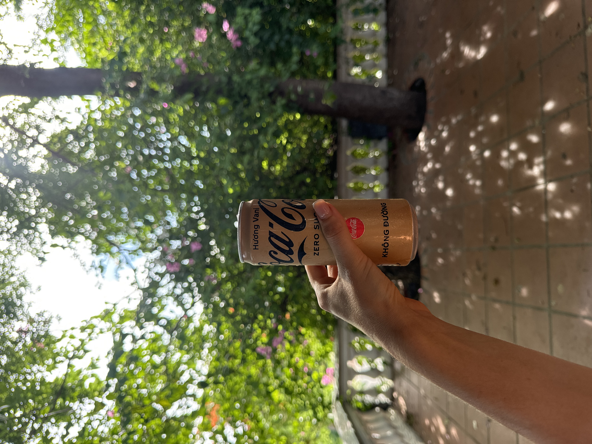 In Mũi Né, Vietnam, a person's arm and hand hold a gold-colored Coca-Cola Zero Sugar can. The can displays the Coca-Cola logo and text in Vietnamese. The background is blurred, but shows a lush green environment with trees and pink flowers, likely from a tropical garden. A white railing and a tiled patio are also visible. Sunlight filters through the foliage, casting dappled shadows on the ground.