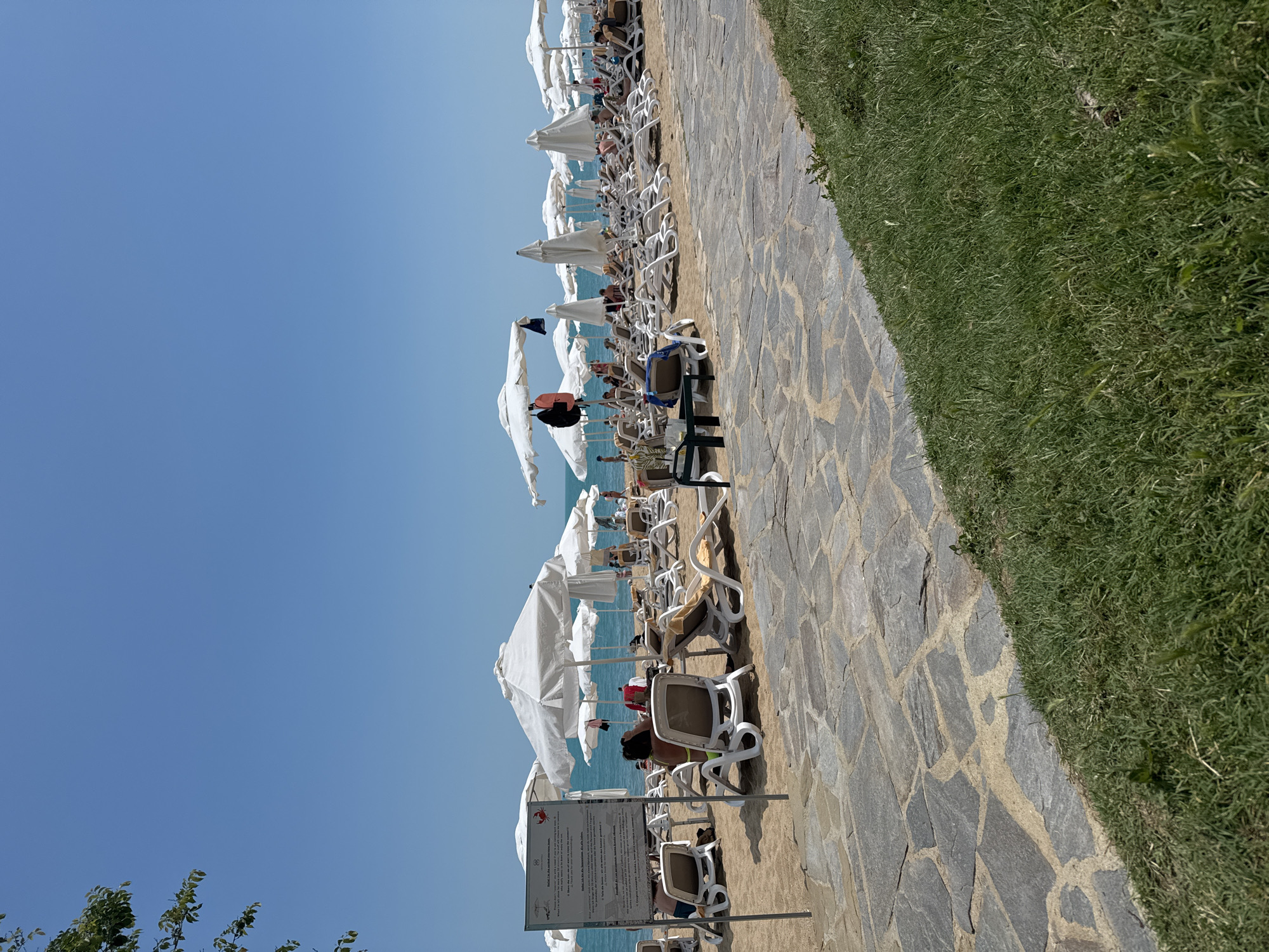 The image depicts a crowded beach scene under a clear, bright blue sky in Varna, Bulgaria. The foreground features a stone-paved pathway running diagonally from the lower left to the mid-right, bordered by a strip of green grass on its right edge. Beyond the pathway lies a sandy beach densely populated with numerous white open and closed beach umbrellas and light-colored lounge chairs. Many lounge chairs are occupied by individuals relaxing, some under the shade of the umbrellas.
On the left side of the beach, a large white sign with text in multiple languages, including English, and a red crab icon, is prominently displayed. A person wearing a bright yellow-green swimsuit is visible from behind, seated on a lounge chair directly in front of this sign. Further back, numerous people are visible lounging, with some individuals near the water's edge on the left. The calm, blue sea stretches across the horizon under the bright sunlight. A small dark table with a beverage container is present on the path in the mid-left. Green foliage is visible in the extreme upper-left corner of the frame.