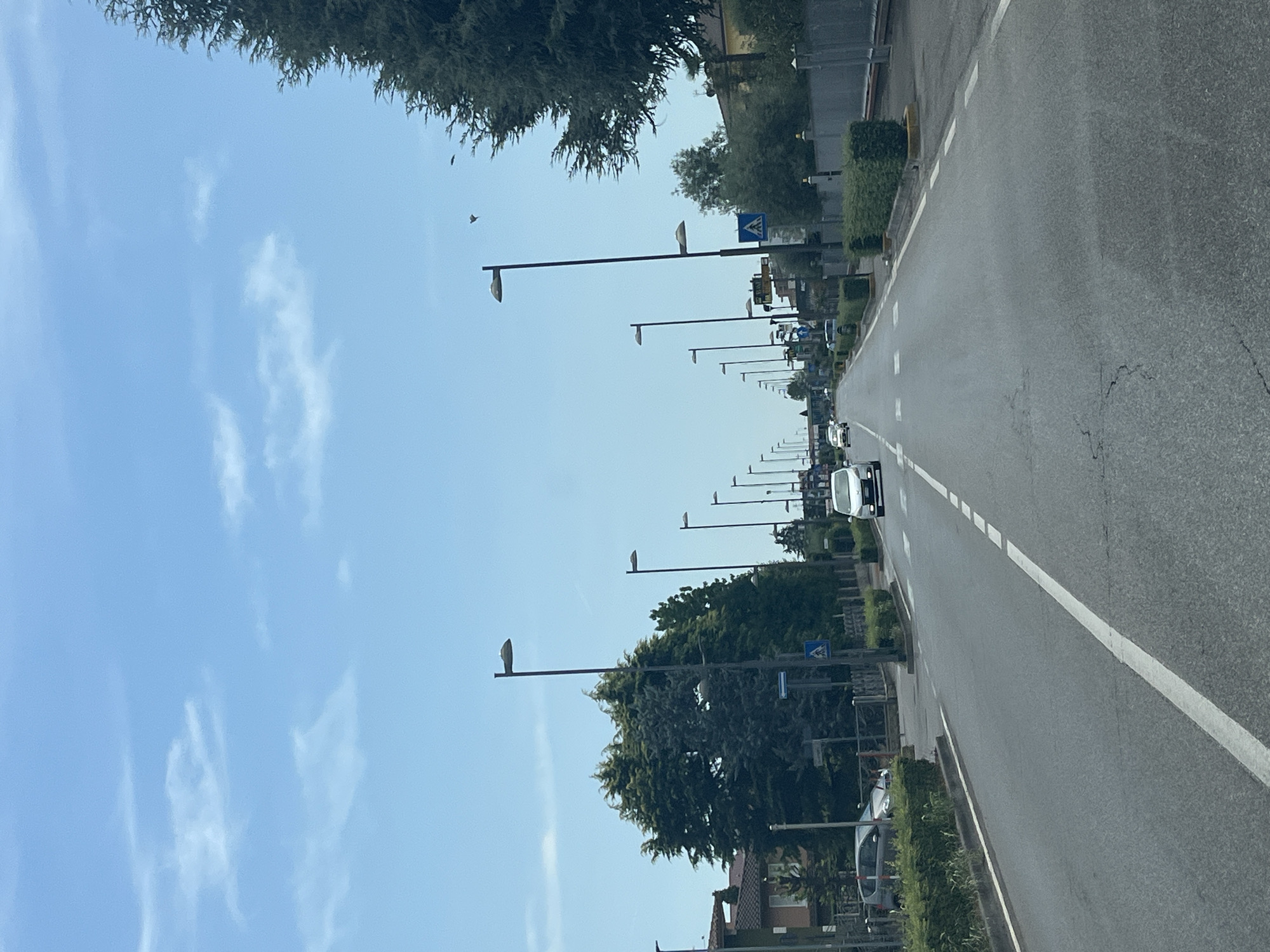 The image shows a straight, paved road in Castiglione delle Stiviere, Italy, with a clear sky and scattered clouds. The road is lined with trees, streetlights, and some buildings on either side. Several cars are visible on the road, some moving and some parked. There are also pedestrian crossings marked on the road. The overall scene depicts a typical suburban or semi-urban environment in Italy.