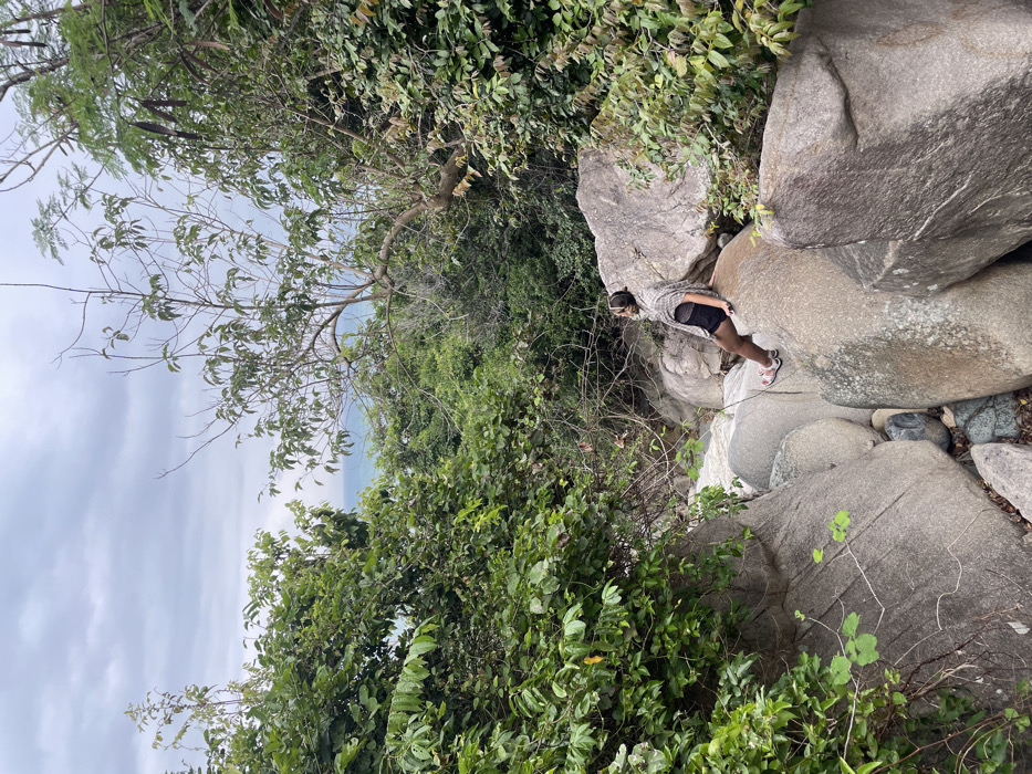 The image depicts a natural, densely vegetated environment in Ninh Hòa, Vietnam, featuring a streambed composed of large, smooth grey boulders under an overcast sky. A single female individual is seated on one of these boulders in the midground, angled slightly away from the camera, looking upwards and to her left. She wears a light-toned, possibly plaid, shawl or wrap over a dark top, dark shorts, and light pink sandals. A dark mobile device is held in her right hand. White, turbulent water flows between the boulders at the base of the scene. Lush green trees and bushes frame the area, with a narrow view of a distant blue sea on the horizon, visible above the vegetation.