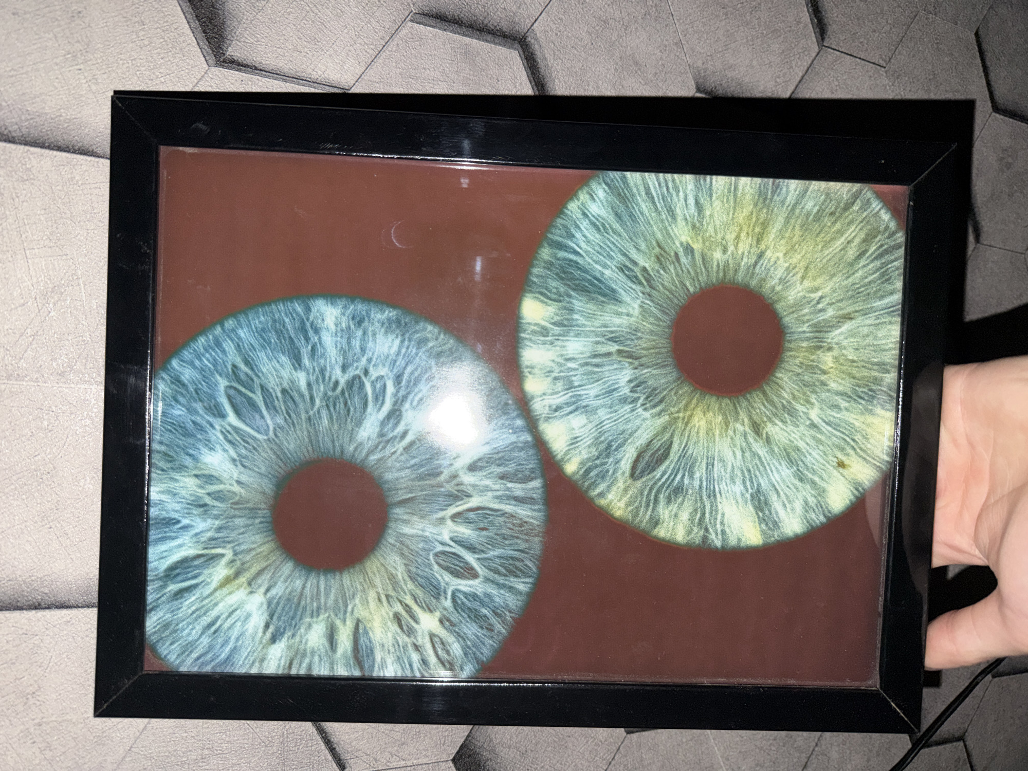 The image shows a framed artwork of two irises displayed on a textured wall. The irises are predominantly blue and green, with intricate radial patterns. The background of the artwork is a dark reddish-brown. The frame is black and appears to be made of plastic or metal. The artwork is positioned on a wall with a hexagonal geometric pattern. A hand is visible at the bottom of the frame, suggesting someone is holding or adjusting the artwork. The lighting in the scene creates some reflections on the surface of the artwork. There is no information in the image that indicates the location in the city of Nizhny Novgorod, Russia.