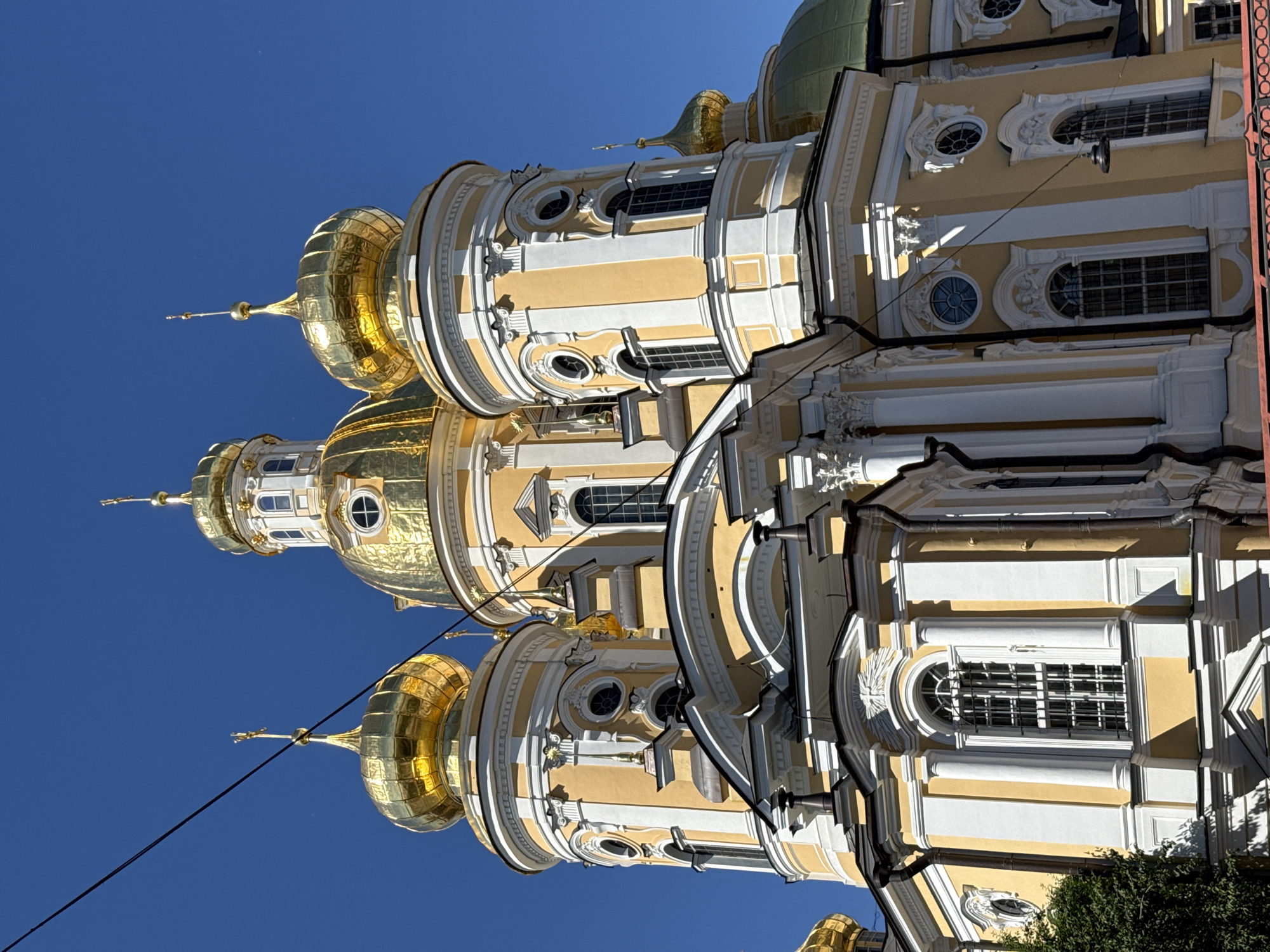 The image shows a section of the Smolny Cathedral in Saint Petersburg, Russia, under a clear blue sky. The cathedral's prominent features are its yellow walls, white architectural details, and multiple golden domes topped with crosses. The foreground is dominated by the intricate facade of the cathedral, with its arched windows, columns, and decorative moldings. Several golden domes of varying sizes are visible against the sky, reflecting the sunlight. A black wire stretches diagonally across the upper left portion of the image, partially obscuring the view of the sky and the cathedral's domes. In the lower left corner, a few branches of a green tree are visible, suggesting the presence of greenery near the building. The overall scene depicts an architectural landmark on a sunny day. There are no people or overt actions depicted in the image.
