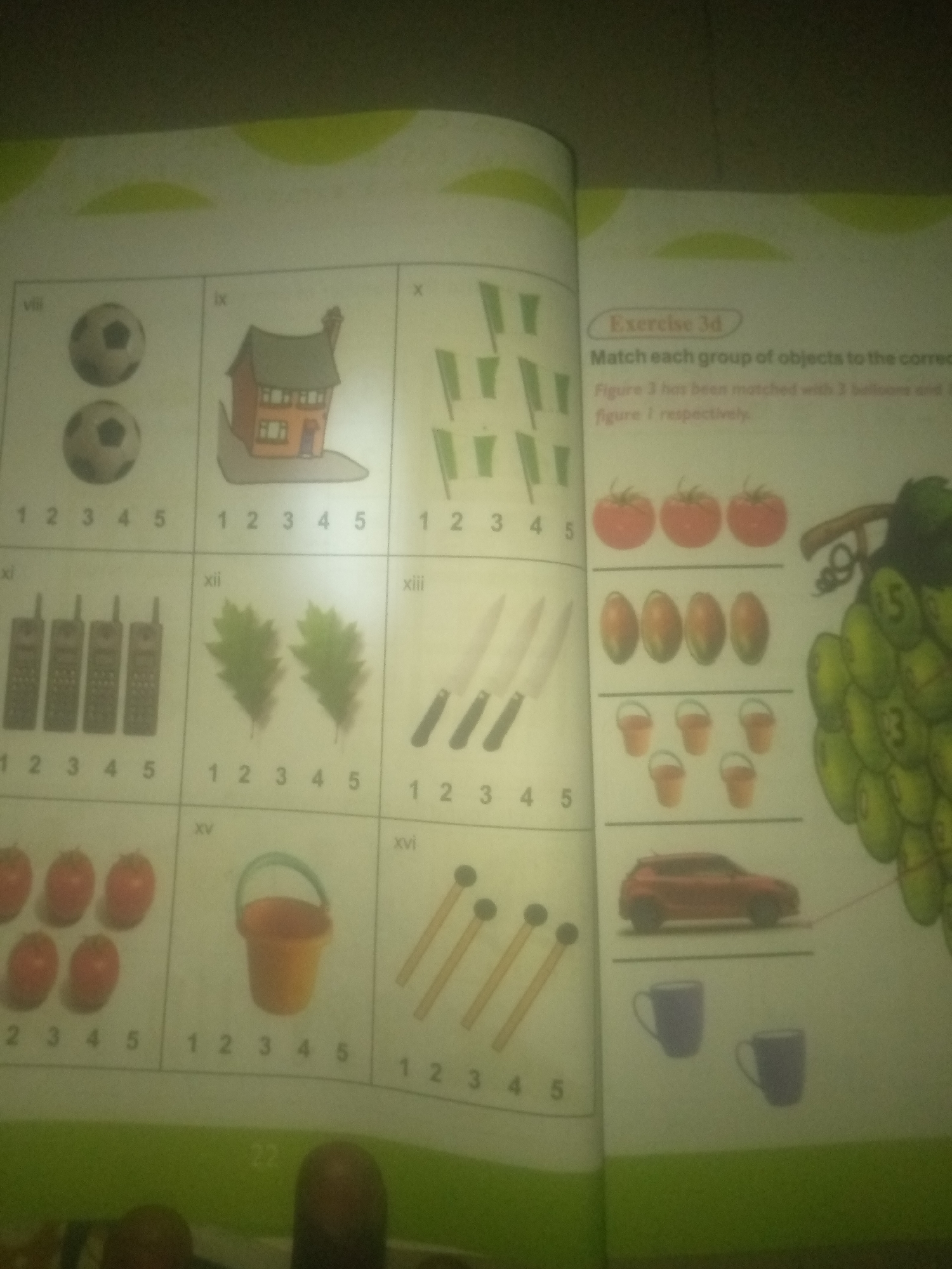 The image depicts a page from a children's workbook, likely for counting or matching exercises. The page is divided into numbered sections, each displaying a group of objects. These objects include two soccer balls, a house, a set of tall green shapes, four telephones, two green leaves, three knives, five tomatoes, five mangoes, five buckets, five matchsticks, a red car, and two blue mugs. The "Exercise 3d" title suggests a math-related activity. The background appears to be a light-colored surface, possibly a table, with some green elements suggestive of a border or design of the workbook. There are no people or indications of a specific location like Jauro Yinu, Nigeria.