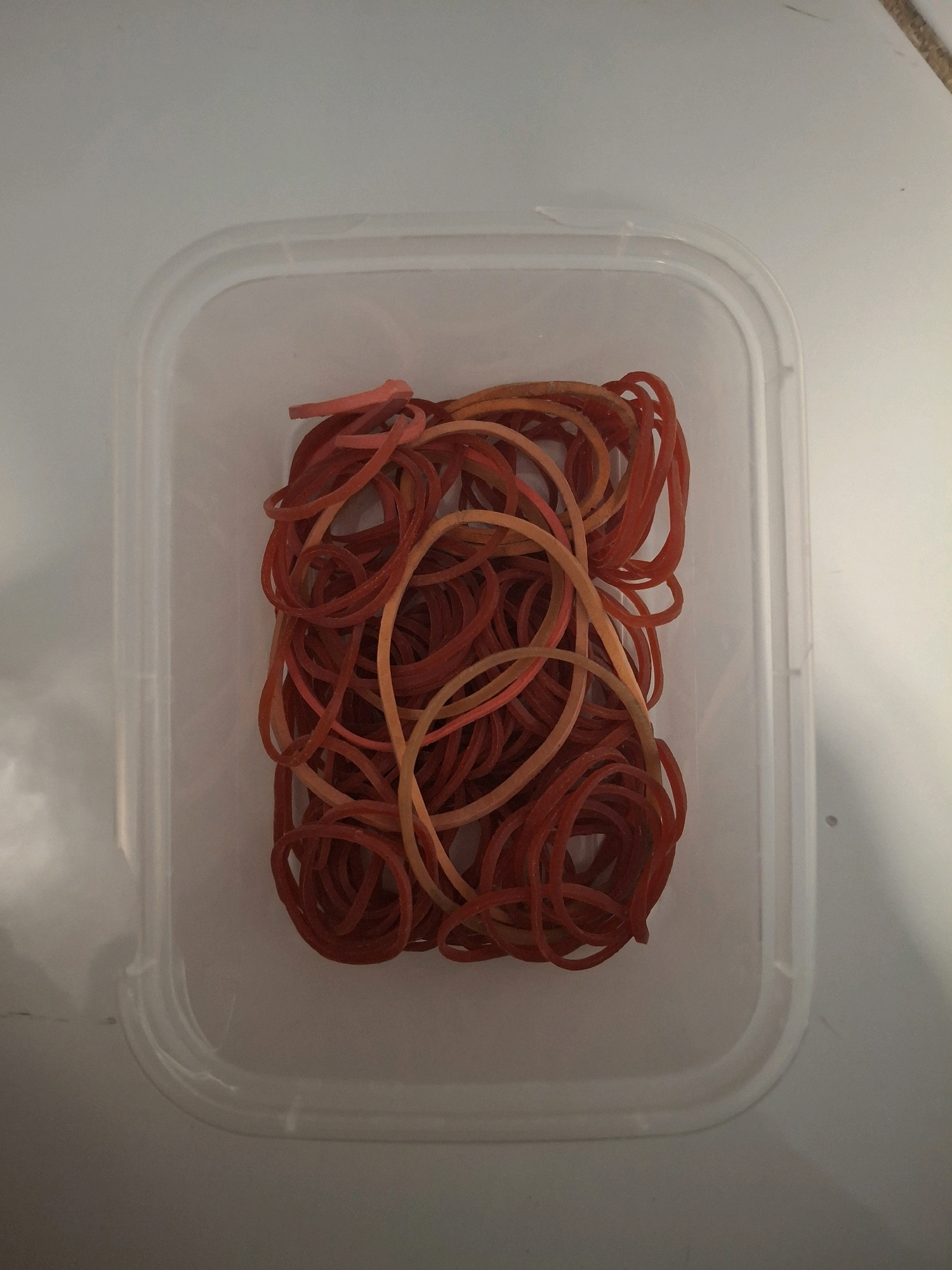 A top-down, eye-level shot shows a clear plastic container filled with a jumble of red and orange rubber bands. The container has slightly rounded corners and is placed on a neutral, light-colored surface, possibly a table or countertop. The lighting appears to be coming from above and slightly to the left, casting subtle shadows on the surface around the container and highlighting the translucent quality of the plastic. The rubber bands are densely packed, with some intertwined with others, creating a chaotic yet organized appearance within the container. No people or further environmental details are visible, making it impossible to determine the specific location within Lumajang, Indonesia.