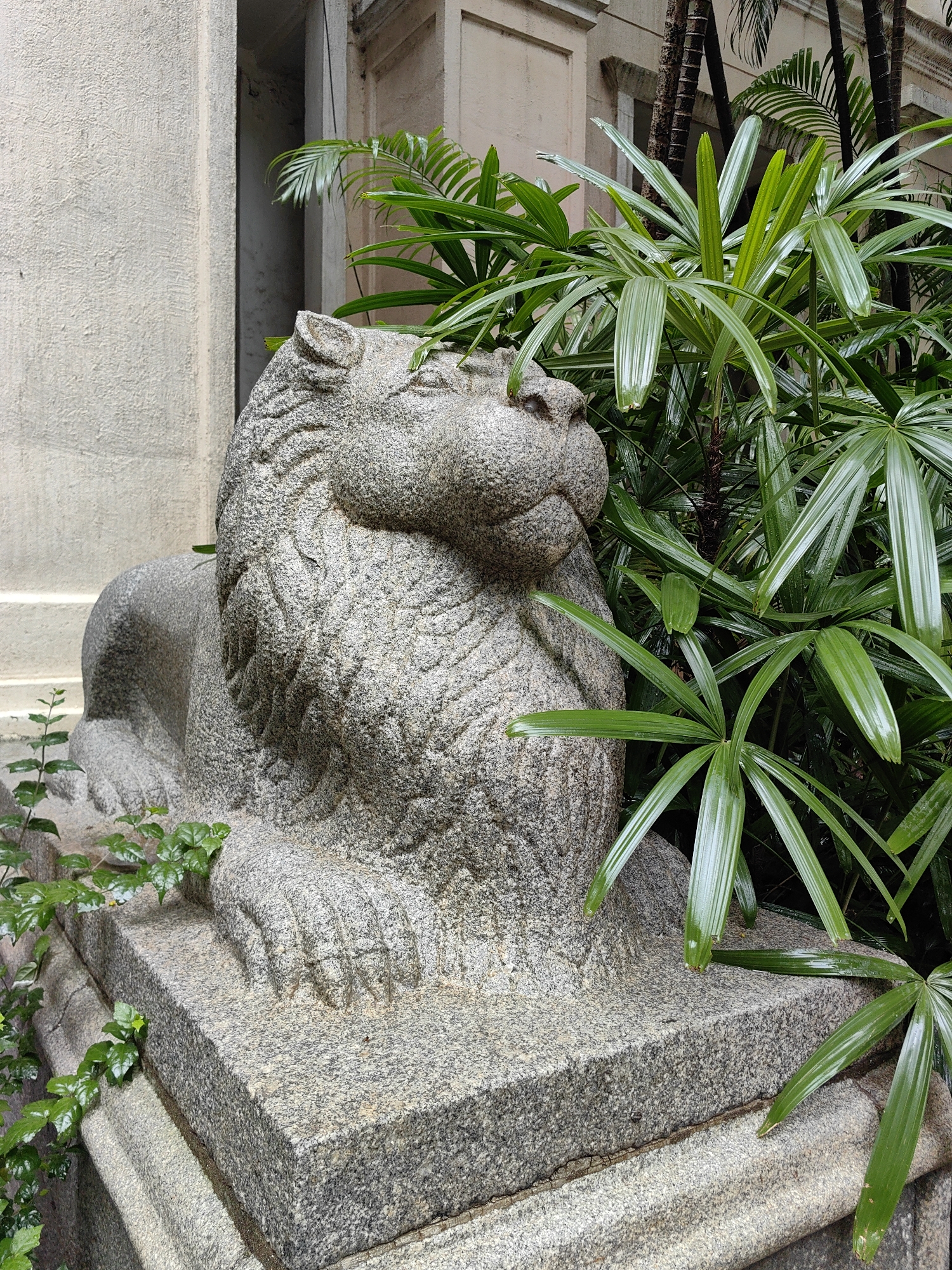 The image shows a stone lion statue in Mumbai, India. The statue is made of grey granite and is sitting on a stone pedestal. It is partially obscured by lush green foliage. In the background, a light-colored building with architectural details can be seen. The overall scene suggests an outdoor environment, possibly a garden or courtyard, within the city.