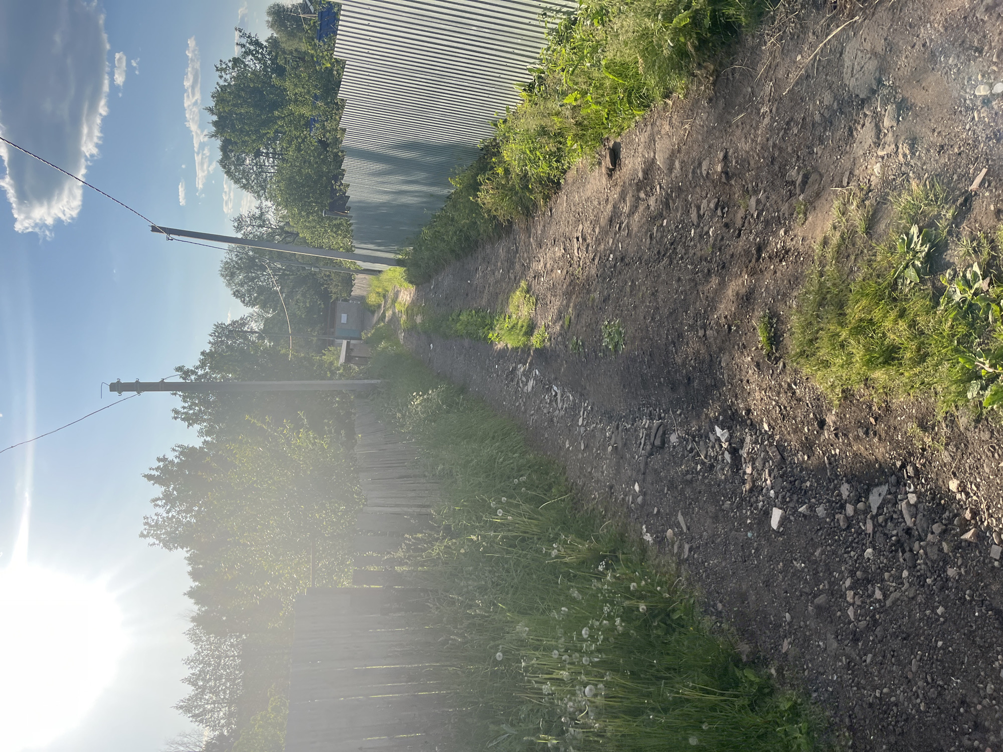 This image captures an unpaved rural pathway in Chaikovsky, Russia, illuminated by direct sunlight from the upper left. The path is composed of dark earth mixed with numerous small and medium-sized gravel and stones, showing subtle worn tracks.
On the left side of the path, a weathered vertical wooden slat fence runs along its length. Adjacent to the fence and path, dense green grass and multiple dandelions, many in their white seed-head stage, are prominently visible. Beyond the fence, a thick line of green deciduous trees with some conifers forms a dense background. Intense sunlight originating from the upper left creates significant lens flare and overexposure, obscuring some detail in the top-left portion of the image, including a utility pole and power lines.
On the right side of the path, a corrugated metal fence, appearing green or blue-green, stands upright. Green grass and smaller weeds grow along the base of this fence. Further down the path on this side, a wooden utility pole with attached wires is clearly discernible. In the distance, beyond the right fence, a small, light-colored building with a blue roof or trim is partially visible.
The sky above is a clear blue with scattered white cumulus clouds, particularly visible in the upper right quadrant. No people, animals, or active interactions are present in the scene. The overall environment depicts a natural, semi-rural setting under bright daylight conditions.