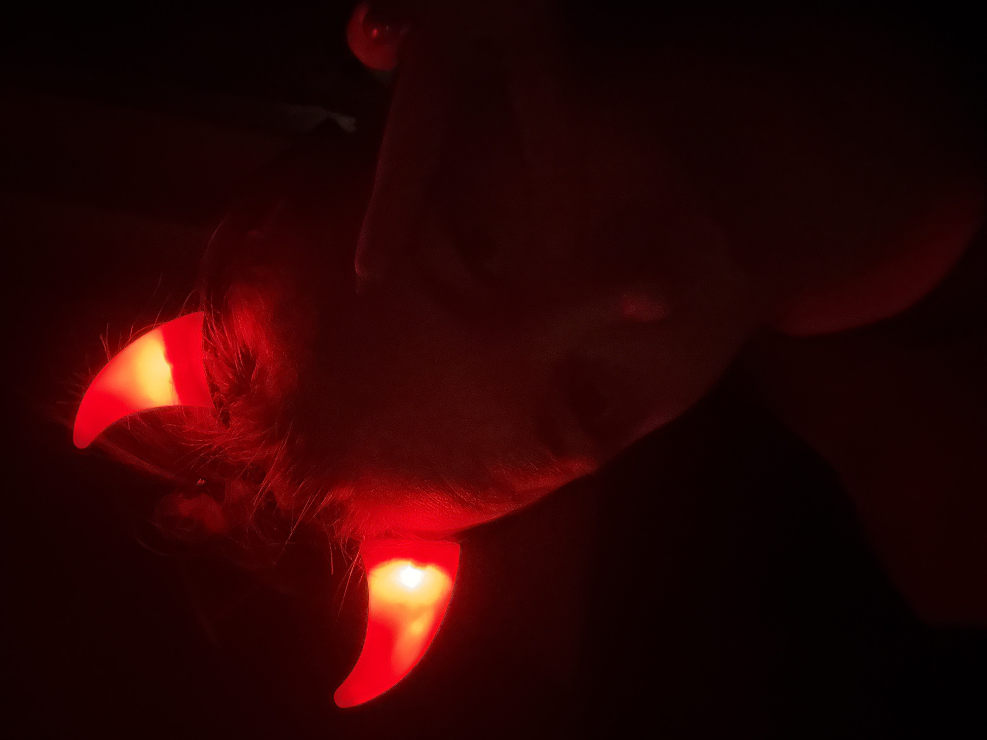 A dark, close-up image features a person's face with glowing red devil horns attached to their forehead. The face is partially obscured by shadow. The background is completely black. The location of the photo in Dmitrov, Russia is not determinable from the image.