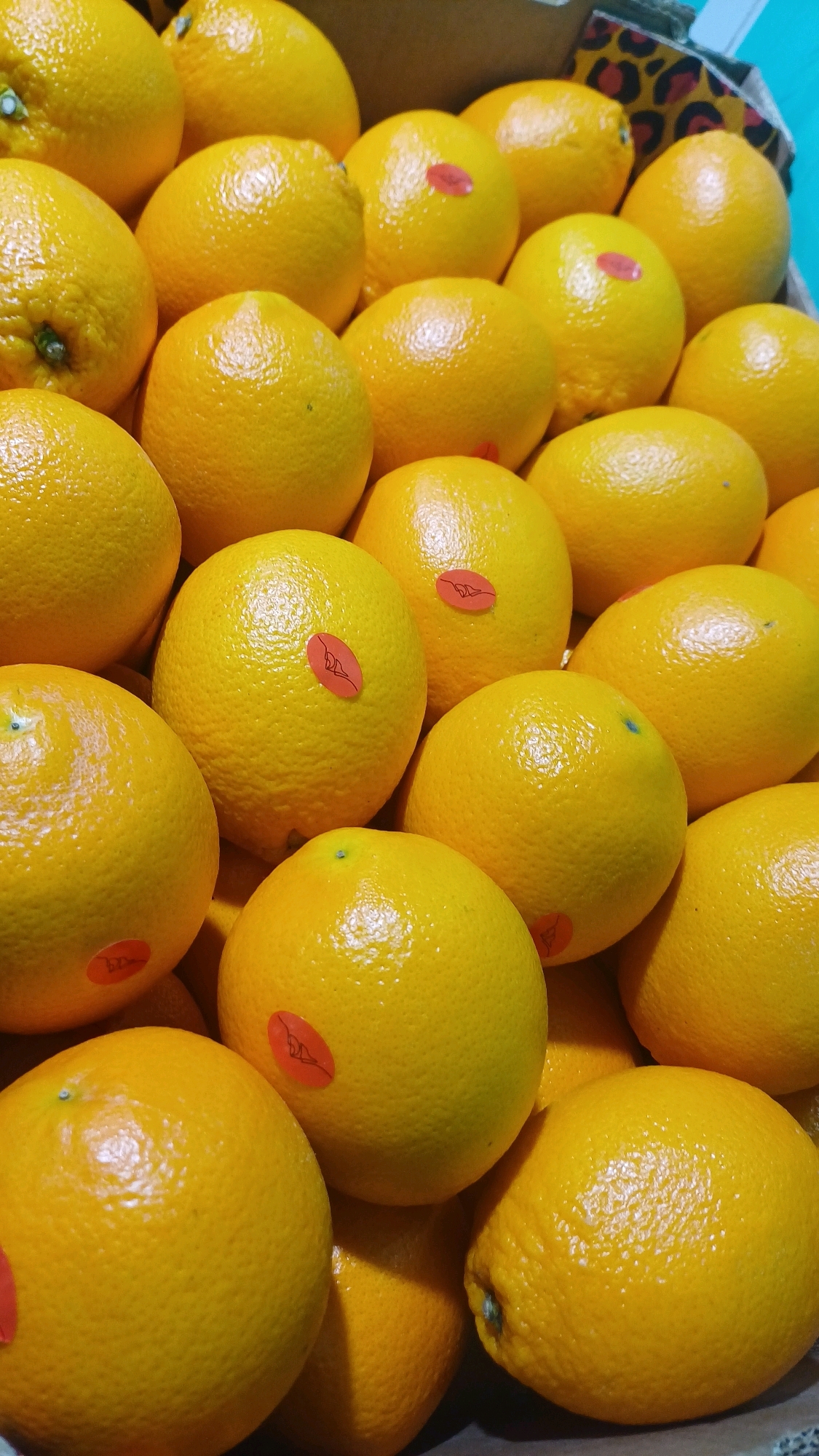 The image shows a close-up, high-angle view of a large pile of ripe oranges. The oranges are a vibrant yellow-orange color, and their textured skin is clearly visible. Many of the oranges have small, oval-shaped red stickers on them. The oranges are densely packed, suggesting they are in a crate or market display. The background is slightly blurred, but hints of brown cardboard and a leopard-print pattern are visible, further indicating a market setting. The lighting is bright, highlighting the glossy surface of the fruit. There are no people or any other objects visible in the frame besides the oranges and the packaging. There is no information in the image to suggest it is located in Kuala Lumpur, Malaysia.