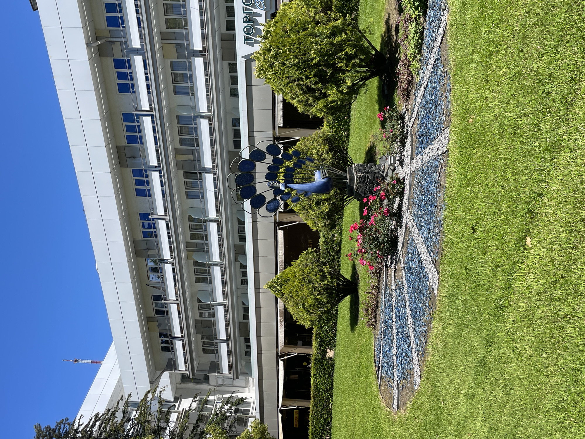 A brightly lit outdoor scene captures a modern building facade, a well-maintained garden, and a unique peacock sculpture under a clear blue sky. The multi-story building, positioned to the left of the frame, features a light-colored exterior with numerous balconies and rectangular blue-tinted windows. A communication tower is faintly visible in the far distance above the building.
In the foreground and center, a lush green lawn is dotted with neatly trimmed, dense shrubs and small trees. Pink and red flowering plants add splashes of color near the main focal point: a striking blue peacock sculpture. The sculpture's body is solid blue, and its fanned tail is depicted with multiple individual blue, fan-shaped elements. This artistic piece extends into a ground-level mosaic made of blue and white or light-grey pebbles, arranged in a striped pattern resembling the spread feathers of a peacock's tail.
Strong sunlight bathes the scene, creating distinct shadows and indicating a clear, bright day, likely morning or early afternoon. On the building's facade, above the garden, partially obscured by a tree, the Cyrillic letters "ТОРГО" are visible on a sign, suggesting a commercial or trading establishment. The overall impression is one of neatness and architectural modernity combined with artistic landscaping, consistent with the specified location of Sochi, Russia. No people or specific activities are visible.