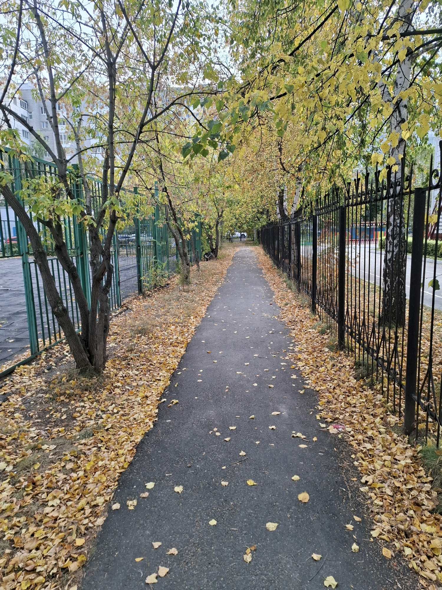 The image depicts a paved pathway lined with trees shedding their autumn leaves, creating a carpet of yellow foliage along the path's edges. A green metal fence runs along the left side of the pathway, bordering a sports field or similar outdoor area. On the right side, a decorative black metal fence delineates the path from an unseen area. In the background, several multi-story buildings are visible, some with light-colored facades. The sky is overcast, contributing to the muted lighting of the scene. The overall impression is one of an urban park or schoolyard during autumn in the city of Tyumen, Russia. No people or specific actions are discernible in the image.