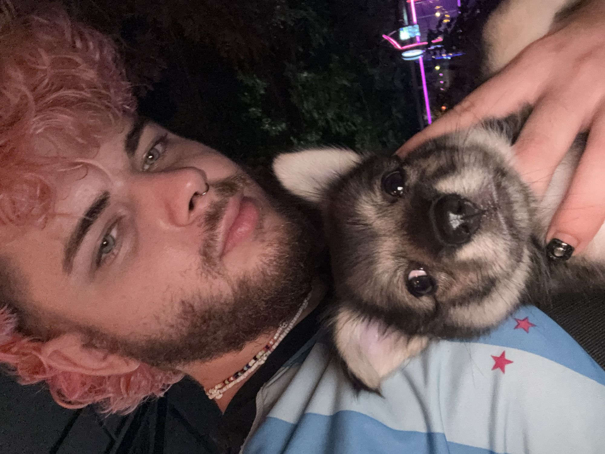 The image is a nighttime selfie featuring a person and a small puppy. The person, positioned to the left, has distinct pink curly hair, a beard, and light-colored eyes. They wear a nose piercing and a multi-colored beaded necklace. Their left hand, with black nail polish, is visible, gently supporting the puppy. They are dressed in a light blue and white striped shirt adorned with red stars, reminiscent of the Chicago flag.
Cuddled close to the person is a small, fluffy puppy with dark and light grey fur, looking directly at the camera with wide, dark eyes. The background is dark, indicating it's nighttime, with blurred, colorful neon lights, suggesting an outdoor urban or entertainment location, possibly an amusement park or a lively area in Đà Nẵng, Vietnam. The scene captures a tender moment of affection between the person and the puppy. There is no visible text.