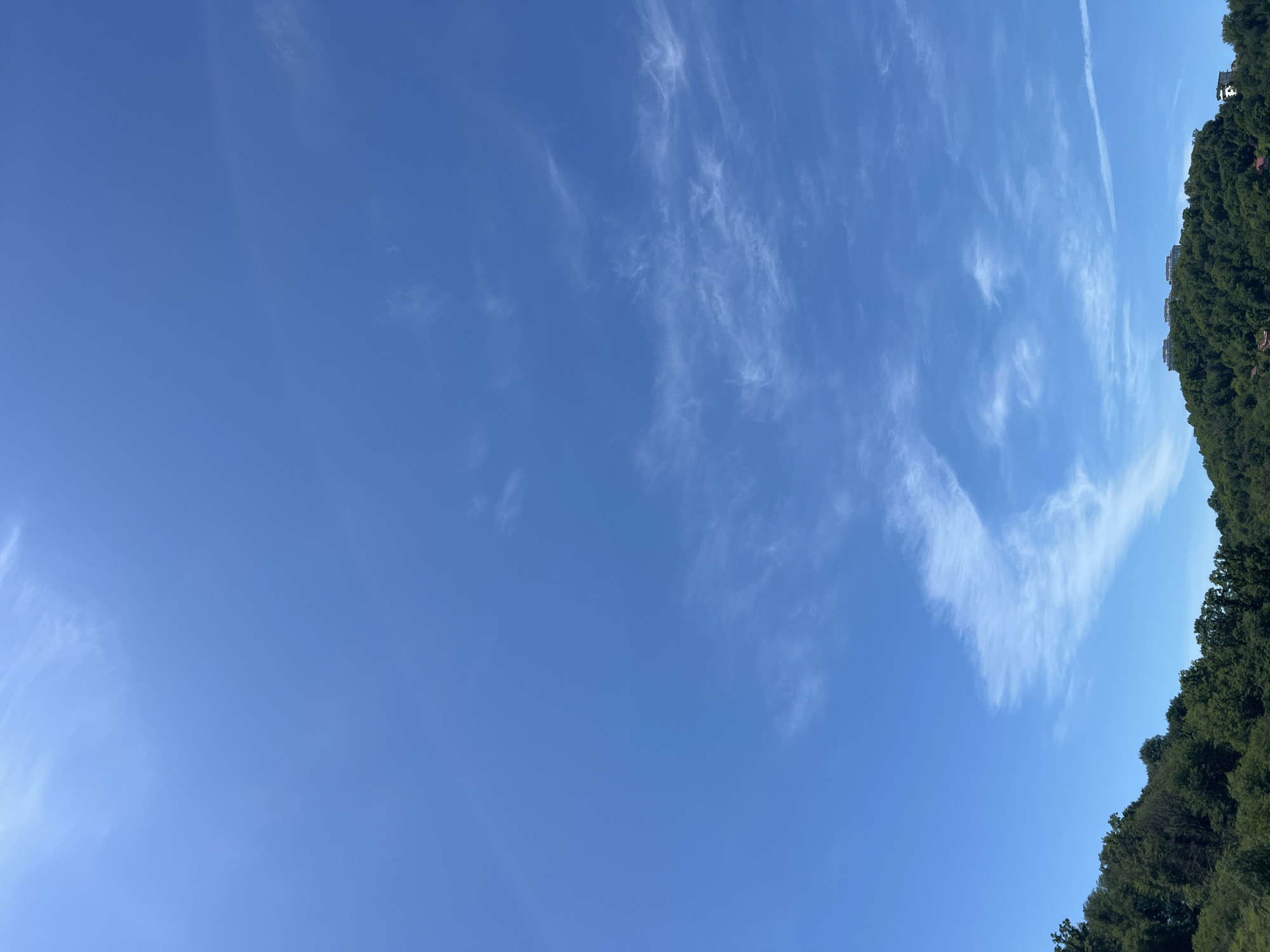A wide-angle shot captures a serene daytime sky with natural and man-made elements. The dominant feature is a vast expanse of clear, vibrant blue sky, occupying the majority of the frame. Scattered across the sky are delicate, wispy white cirrus clouds, appearing thin and elongated, some forming soft streaks while others are more dispersed.
Along the right side of the image, a dense line of lush green trees forms a forested hillside or mountain, extending from the bottom to the top of the frame. Nestled within and atop this treeline, several white or light-colored buildings with visible rooftops can be seen, indicating distant human habitation.
The weather appears fair and bright, suggesting a clear day, likely in the morning or early afternoon, given the intensity of the blue sky and the quality of light. There is no visible activity or explicit human presence in the immediate foreground or mid-ground. The scene evokes a sense of tranquility and natural beauty, characteristic of a scenic, possibly elevated, location such as Sochi, Russia. No discernible text is visible in the image.